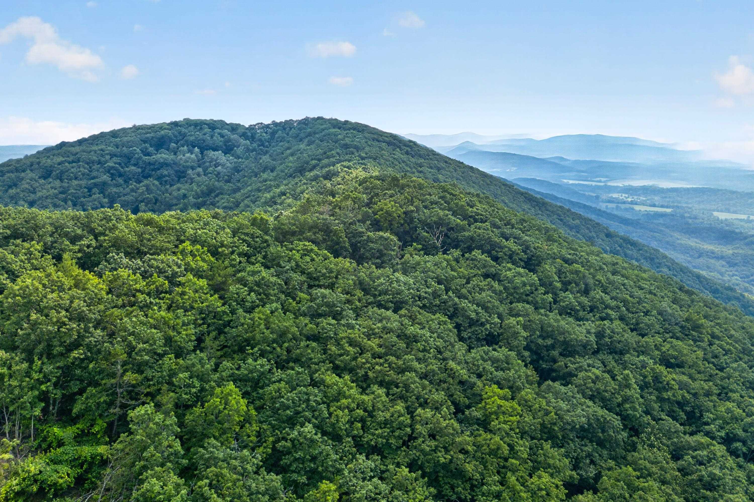 1485 Lead Mine Road Austinville VA 24312