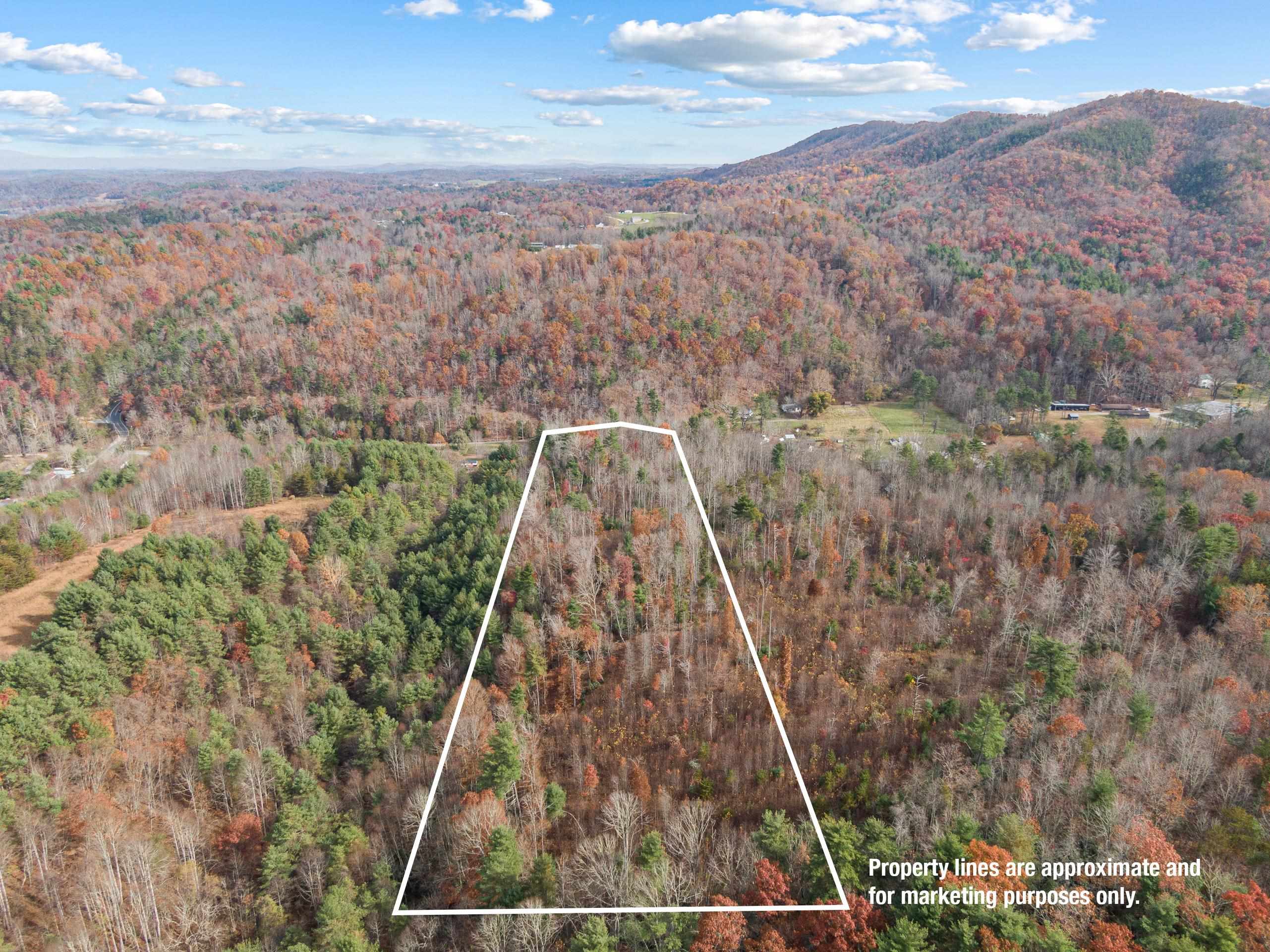 2717 Max Creek Road Hiwassee VA 24347