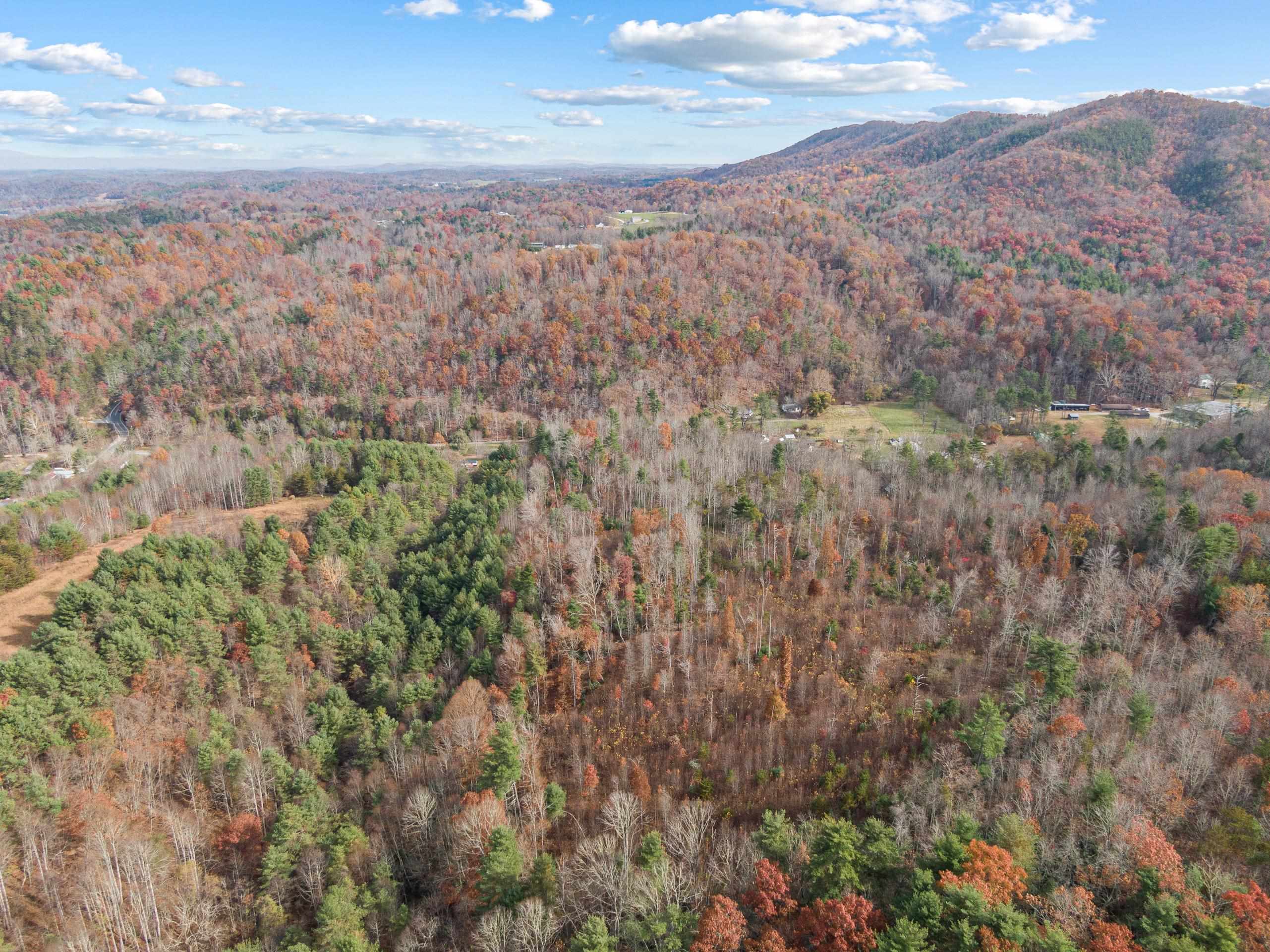 2717 Max Creek Road Hiwassee VA 24347