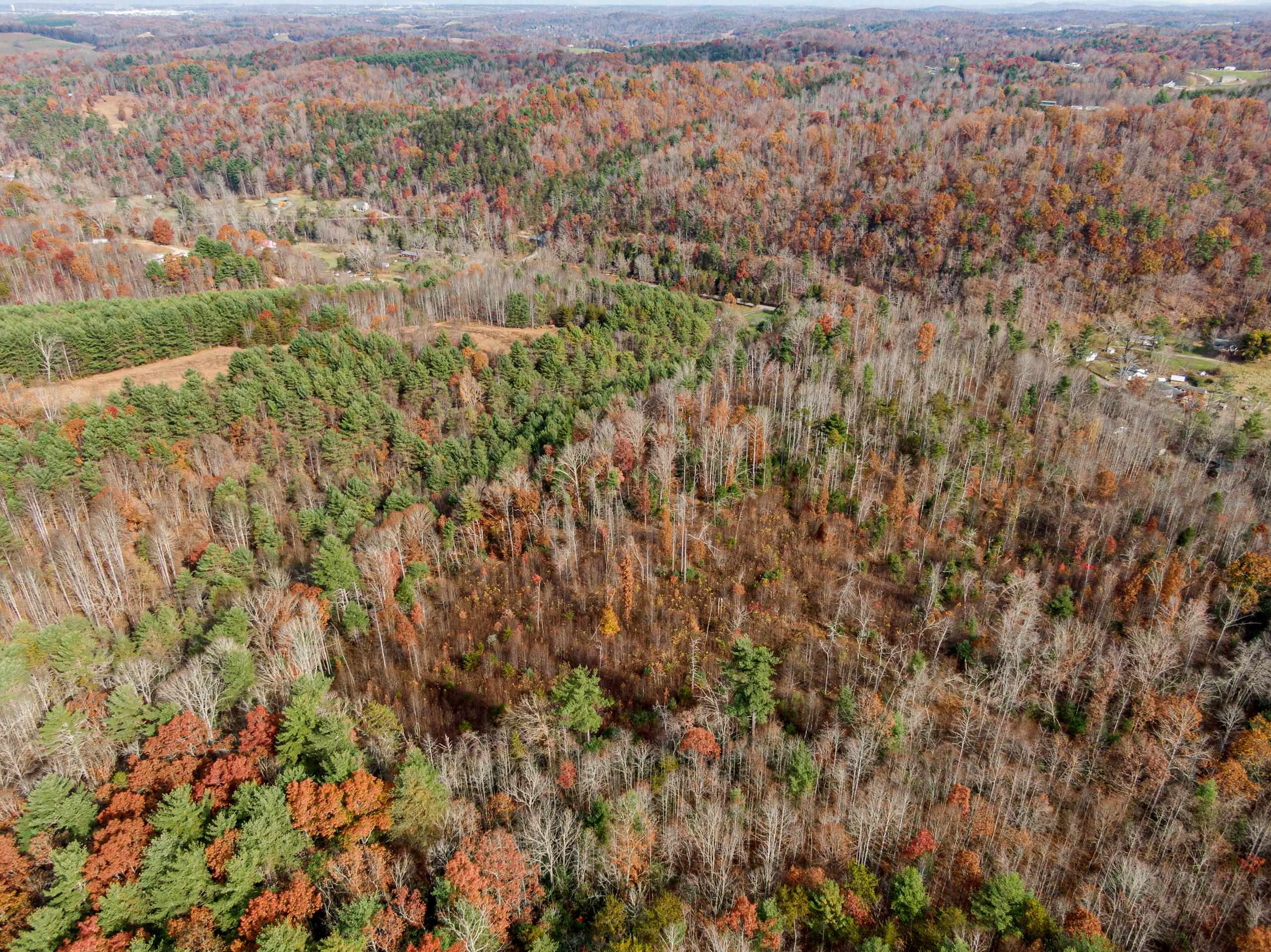 2717 Max Creek Road Hiwassee VA 24347