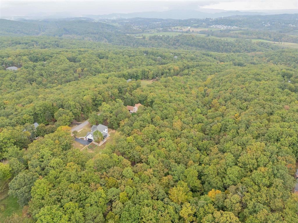 3530 Evergreen Trail Blacksburg VA 24060