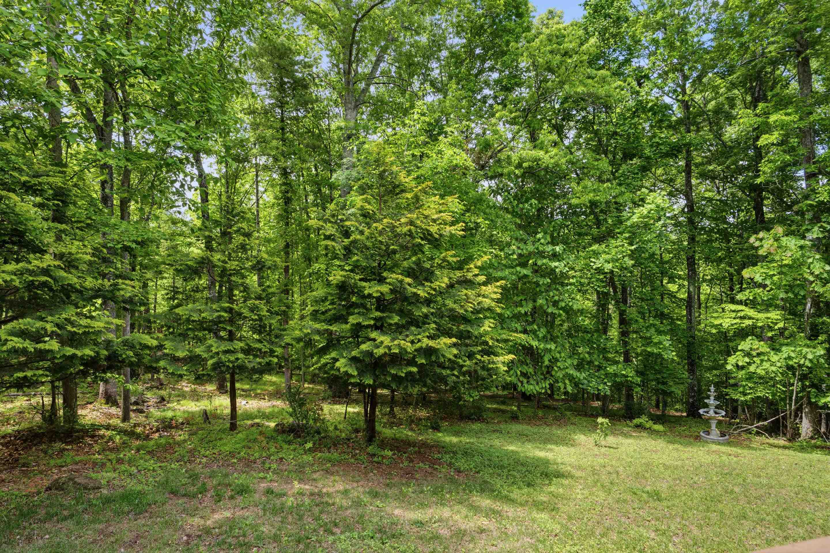 157 Burks Hollow Road Willis VA 24380