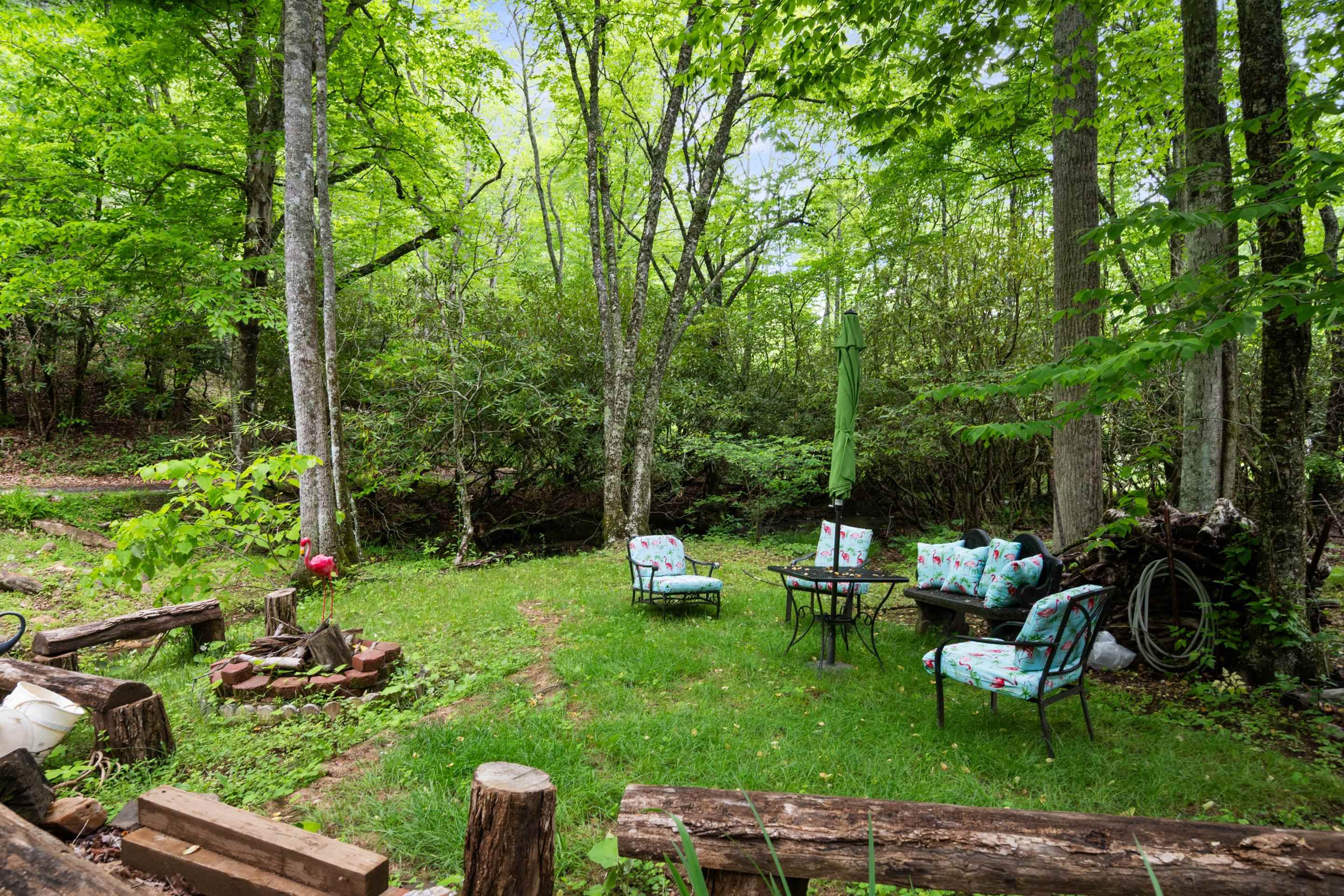 157 Burks Hollow Road Willis VA 24380