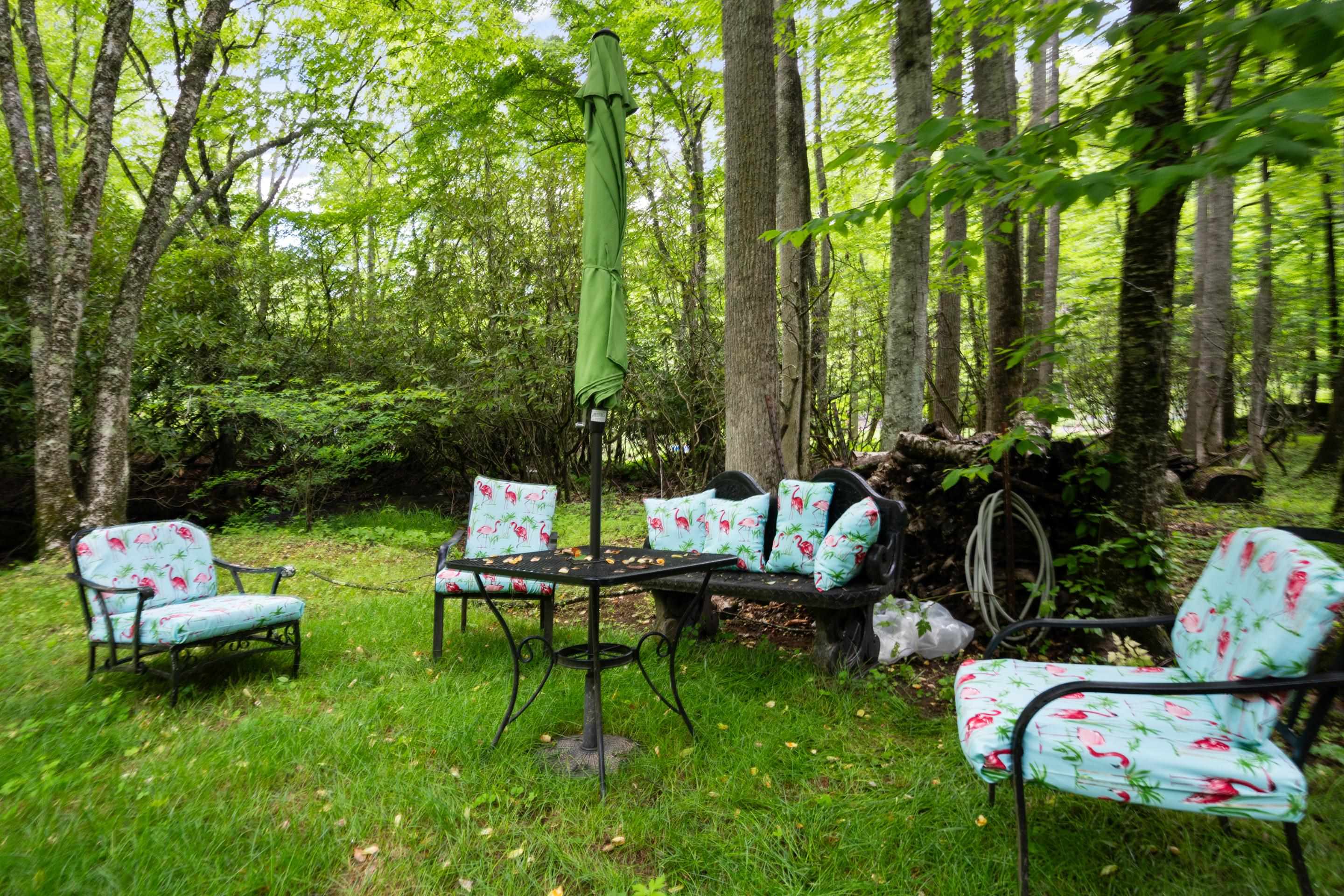157 Burks Hollow Road Willis VA 24380