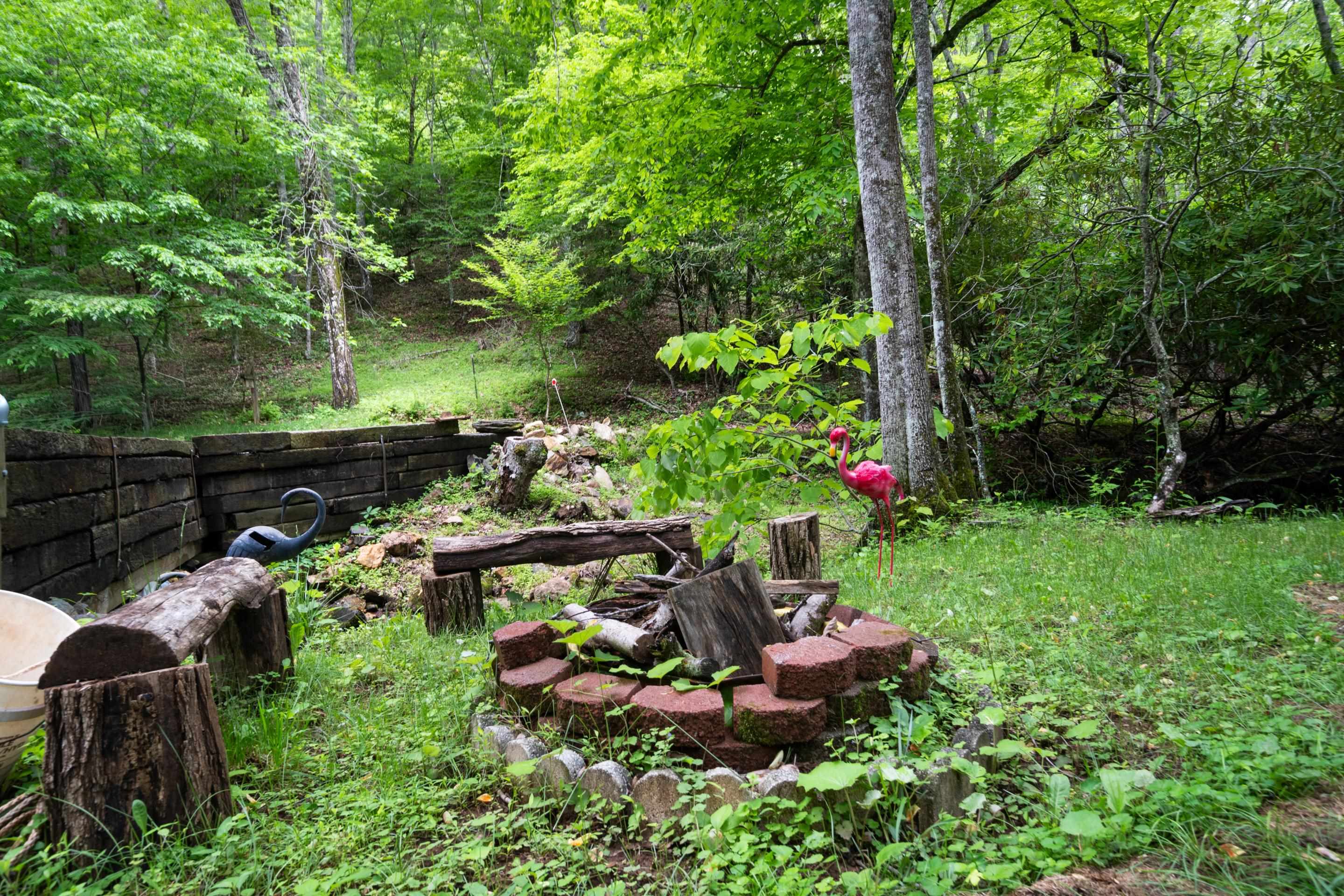 157 Burks Hollow Road Willis VA 24380