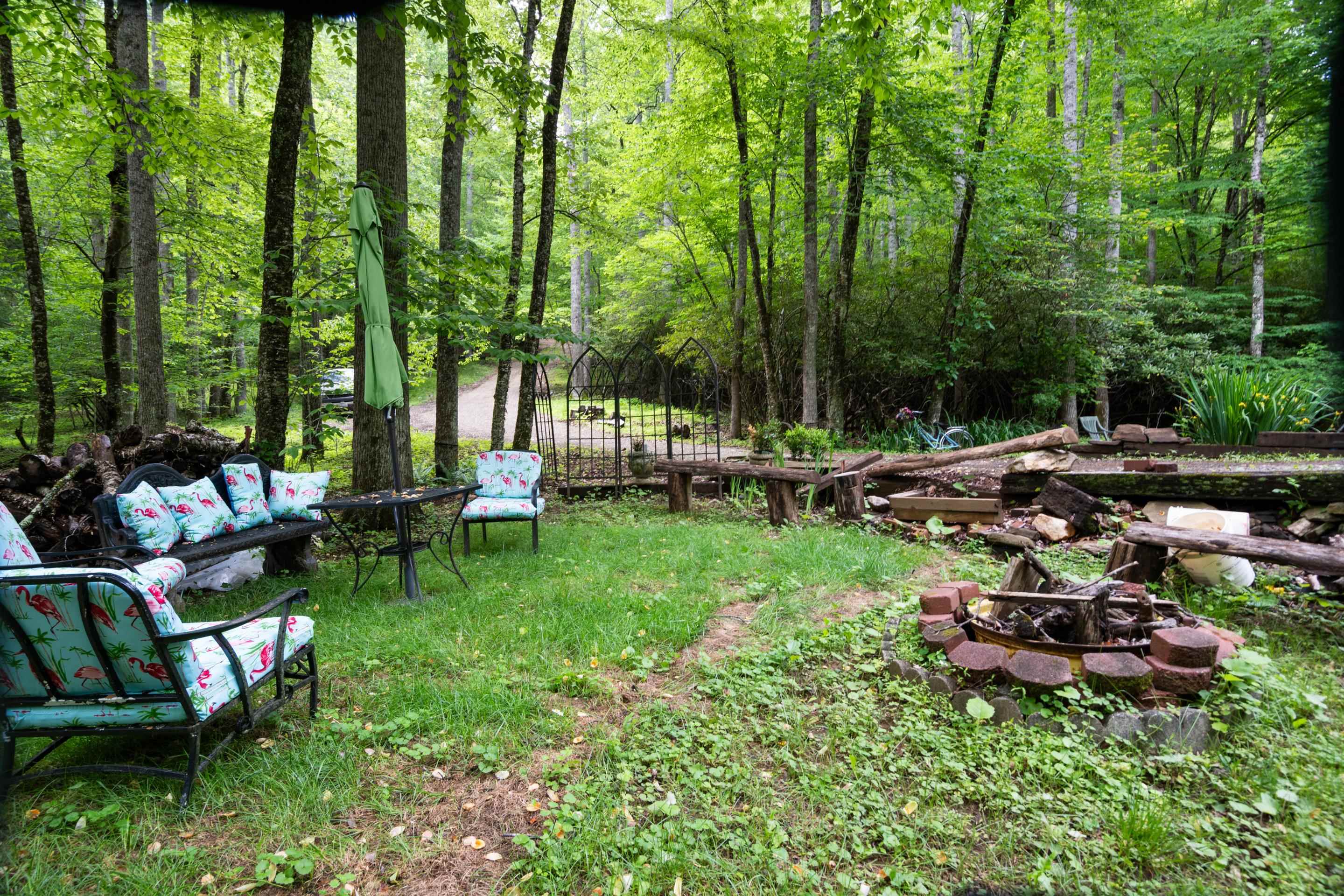 157 Burks Hollow Road Willis VA 24380