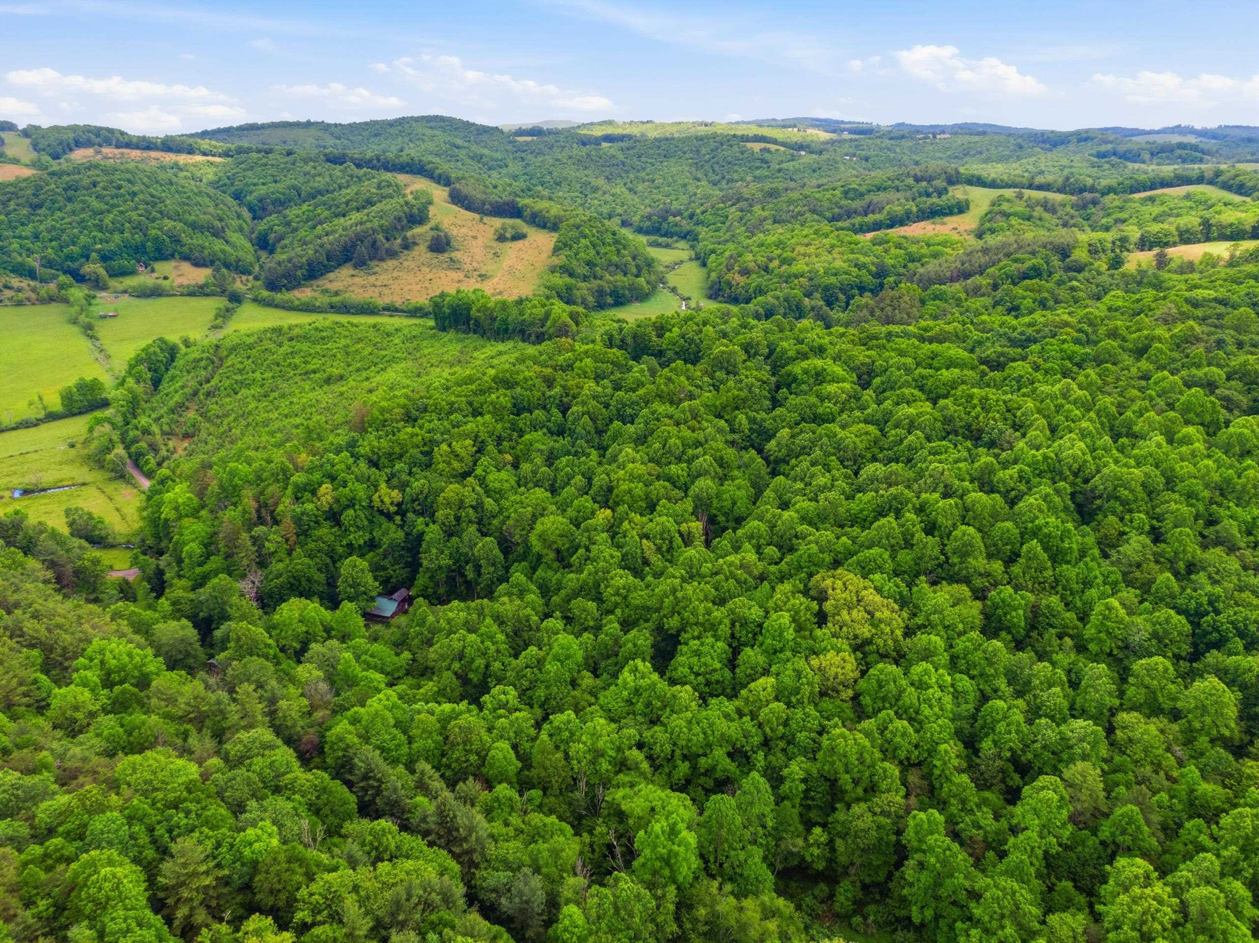 157 Burks Hollow Road Willis VA 24380