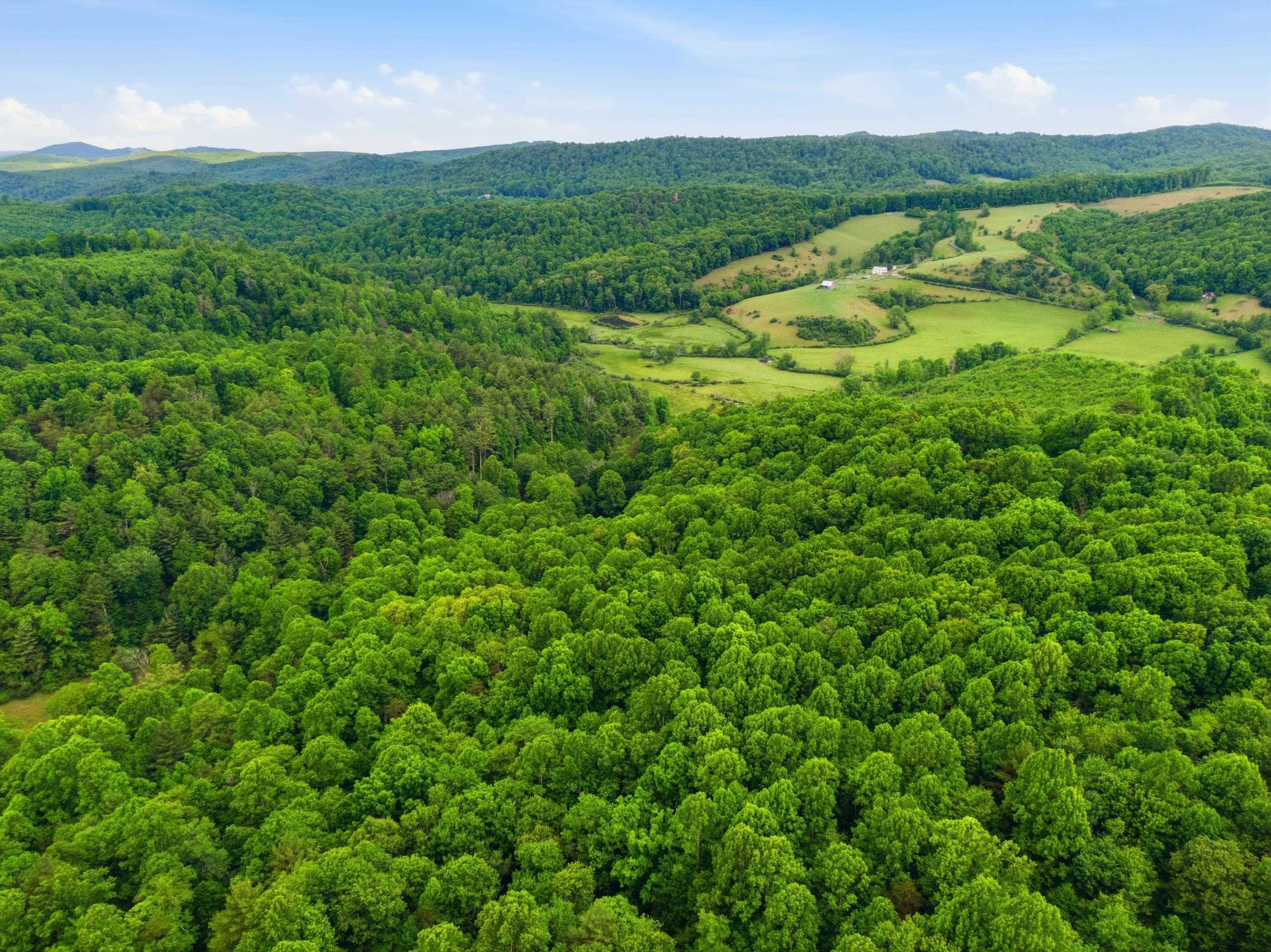 157 Burks Hollow Road Willis VA 24380