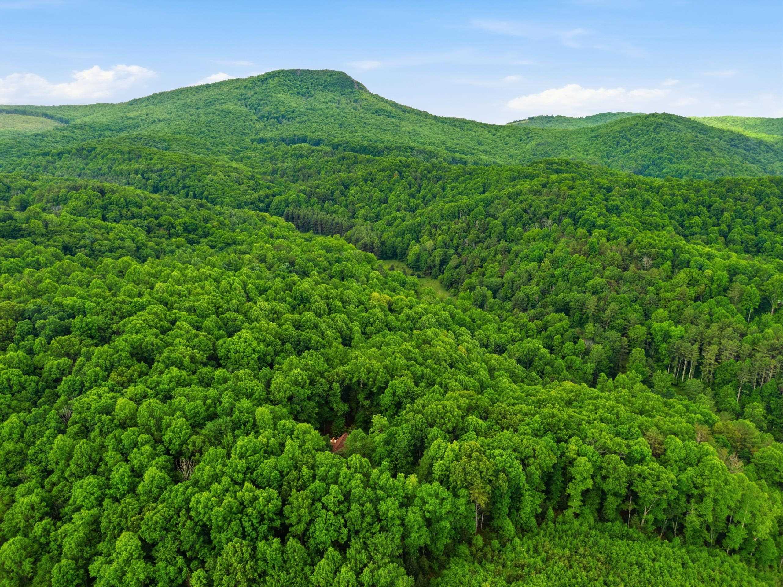 157 Burks Hollow Road Willis VA 24380