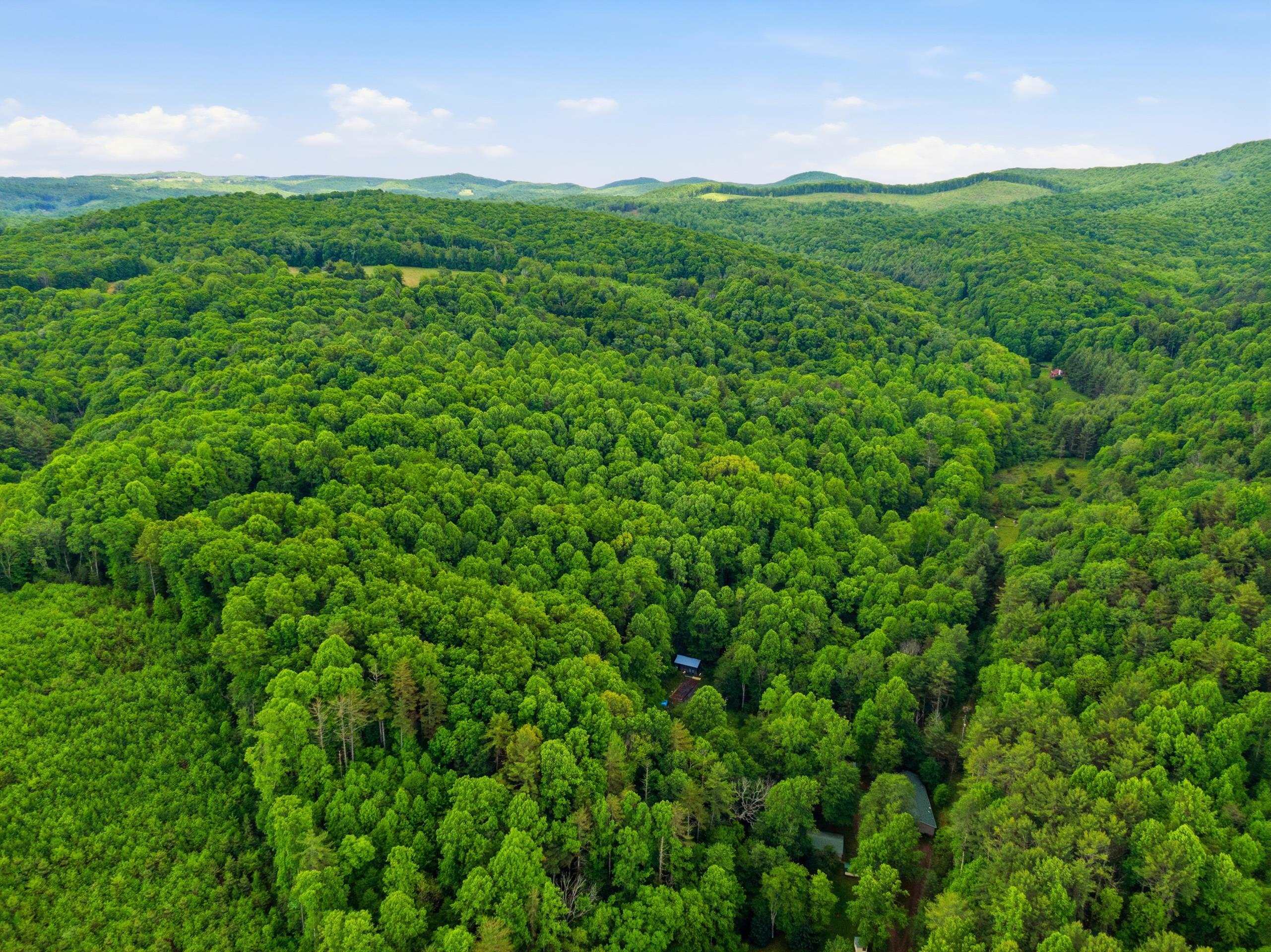 157 Burks Hollow Road Willis VA 24380