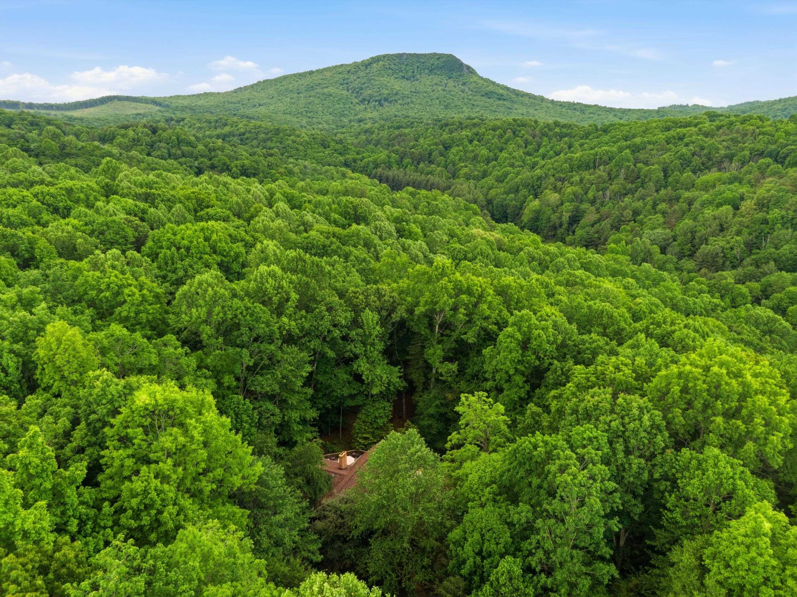 157 Burks Hollow Road Willis VA 24380
