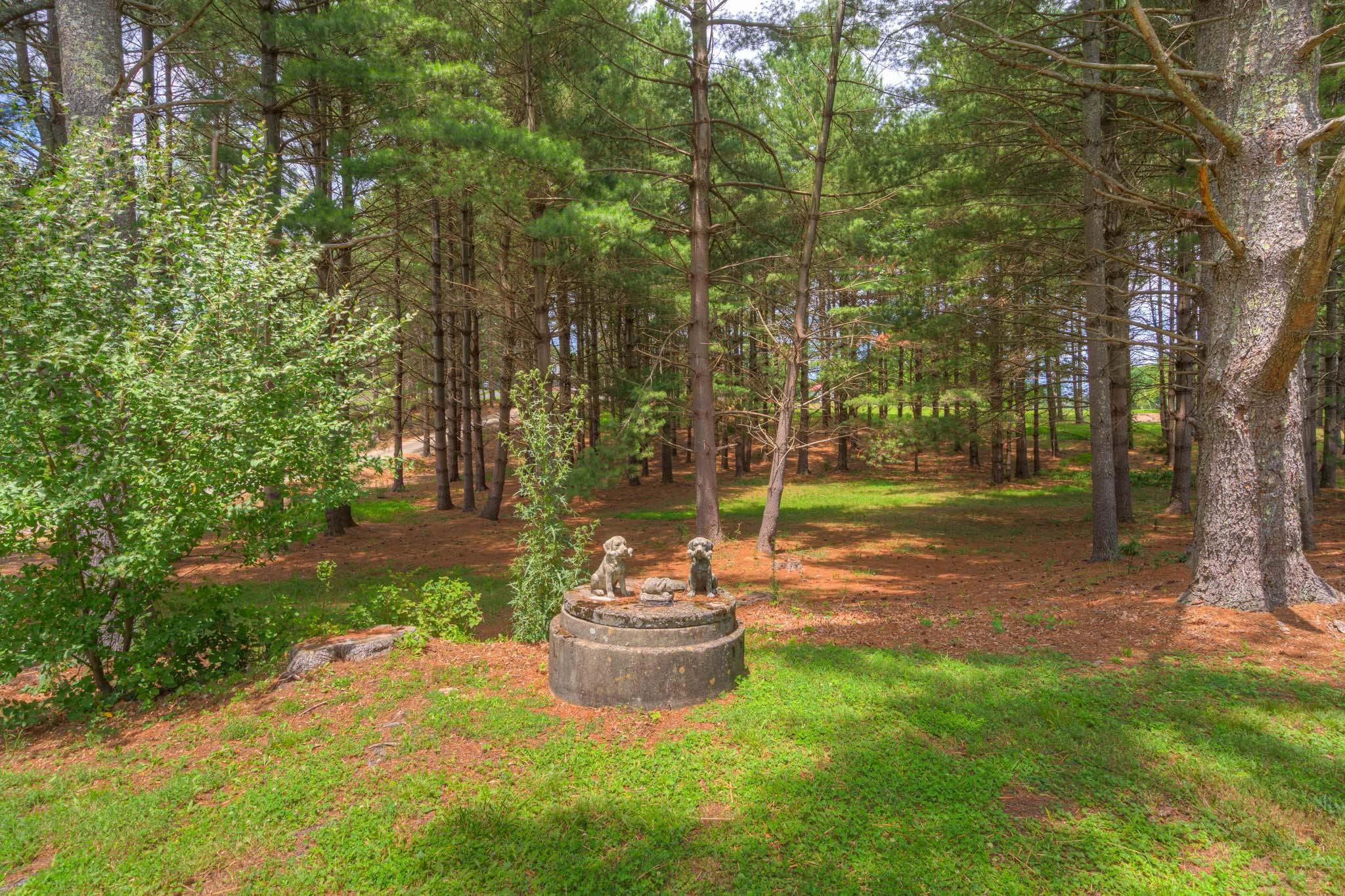 6020 Lyons Road Dublin VA 24084