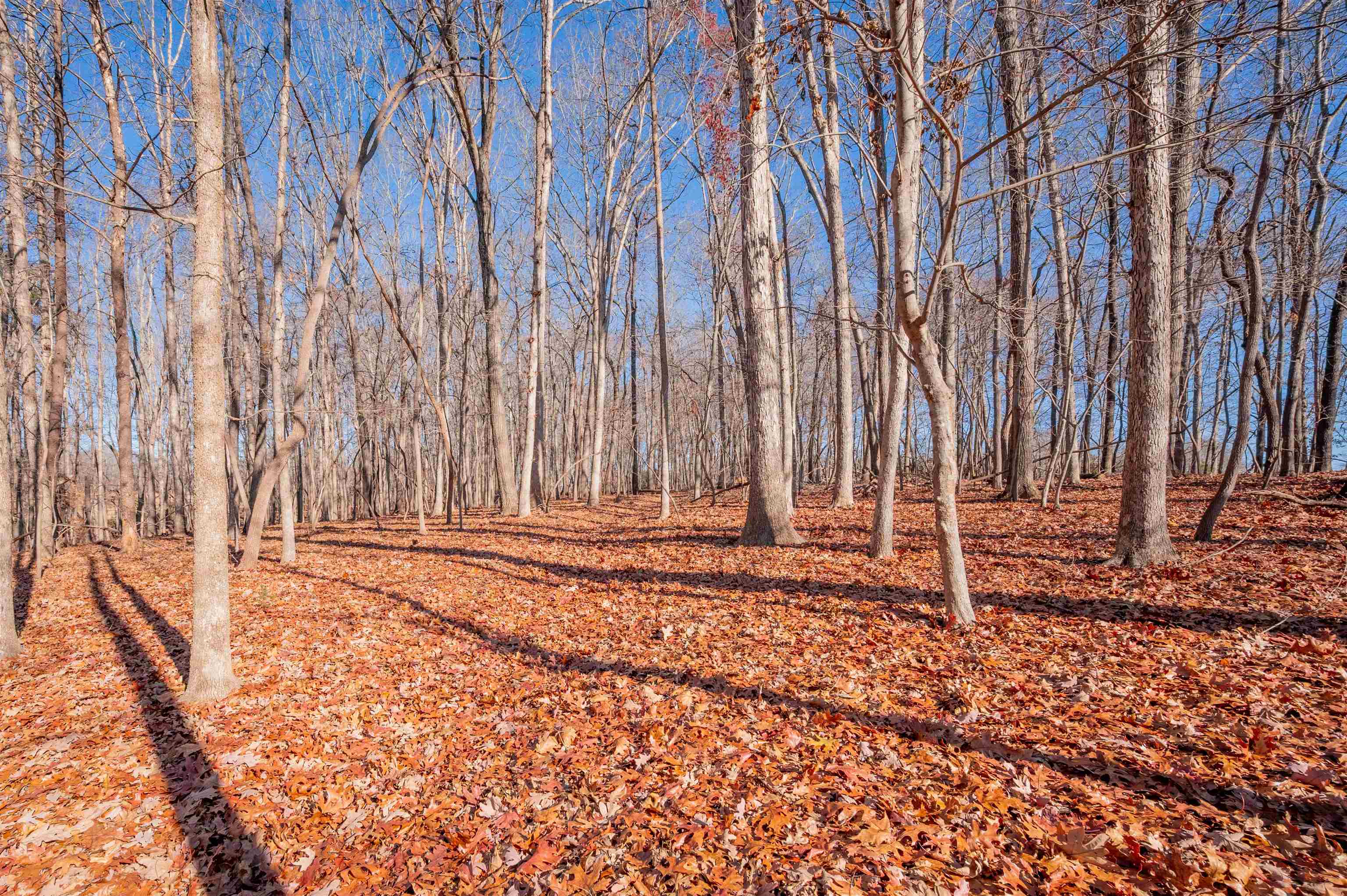 604 Surrey Drive Huddleston VA 24104