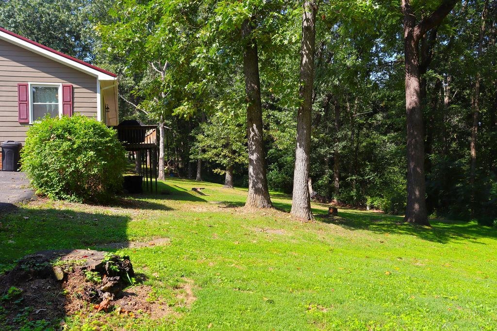 5651 Howell Drive Dublin VA 24084