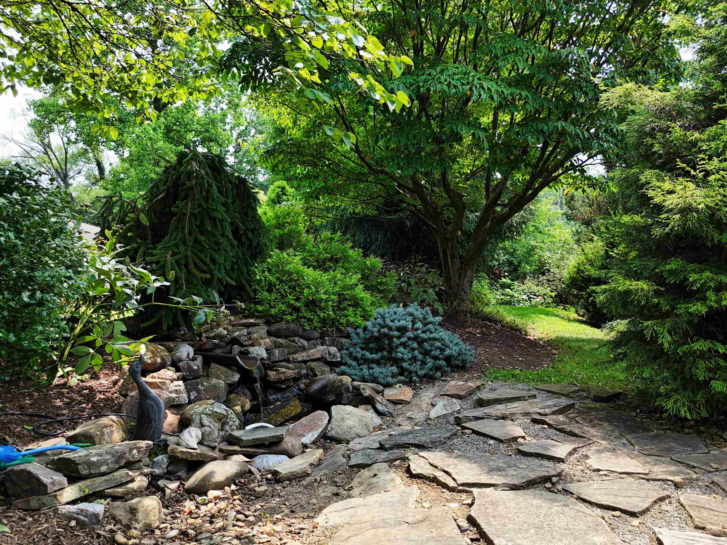 713 Burruss Drive Blacksburg VA 24060