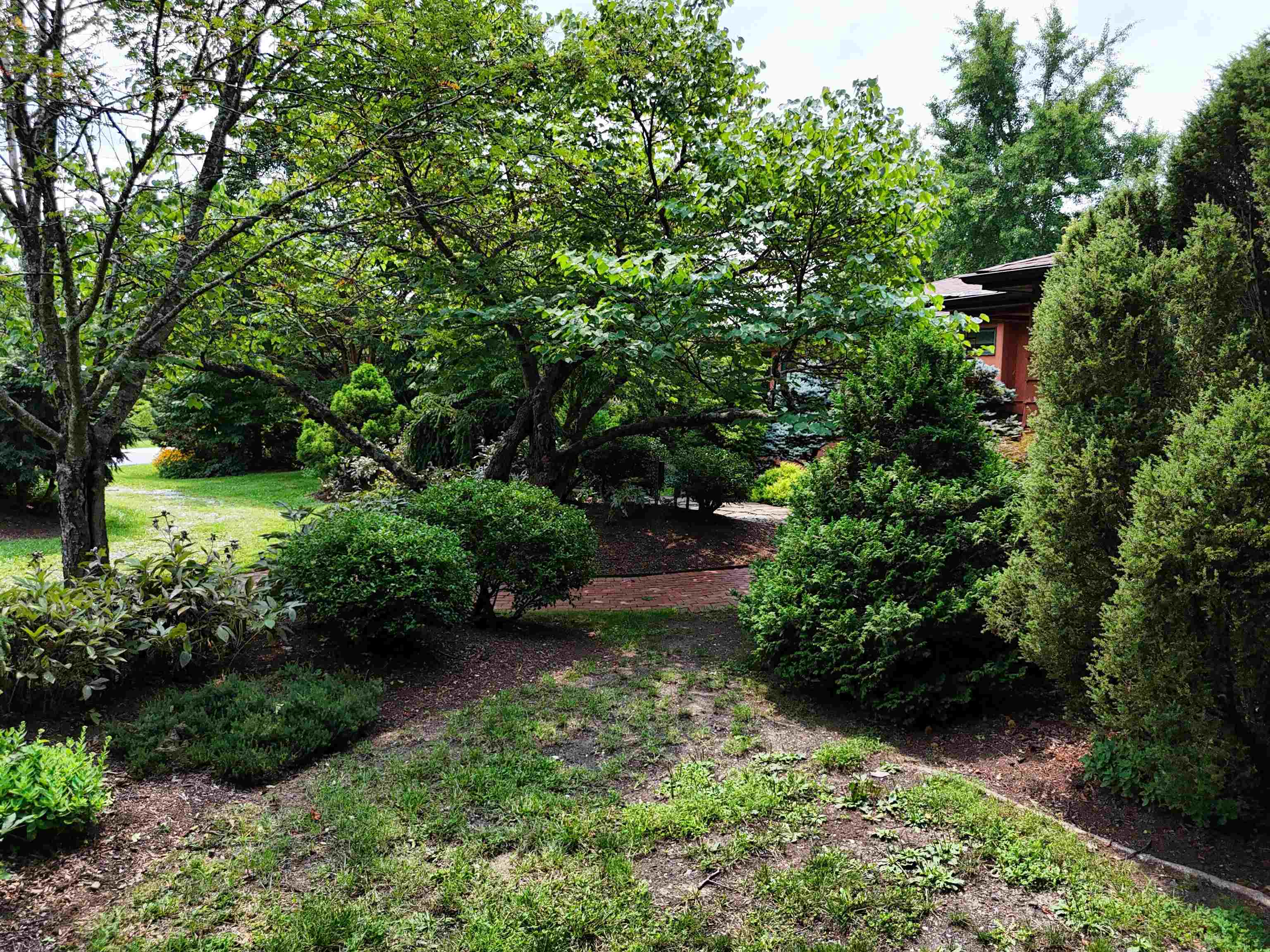 713 Burruss Drive Blacksburg VA 24060