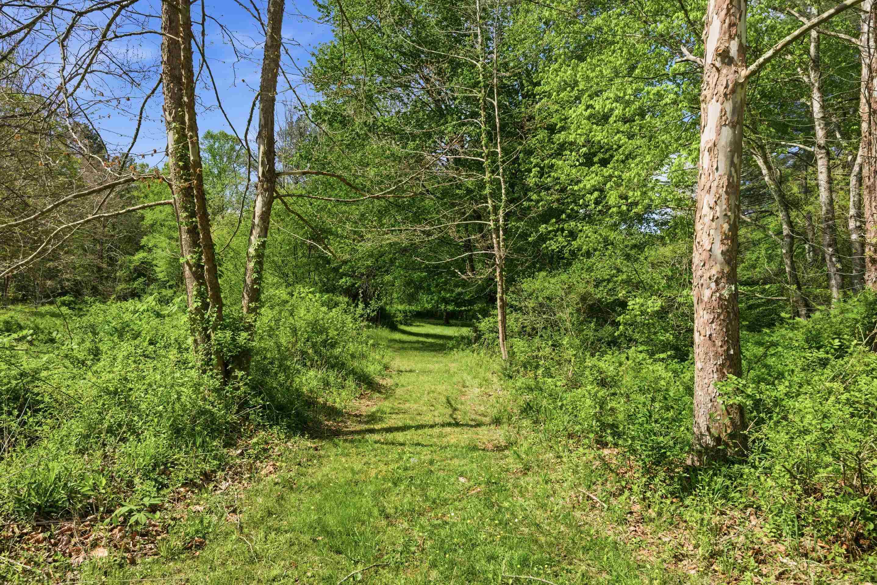 1683 Little Creek Road Dublin VA 24084
