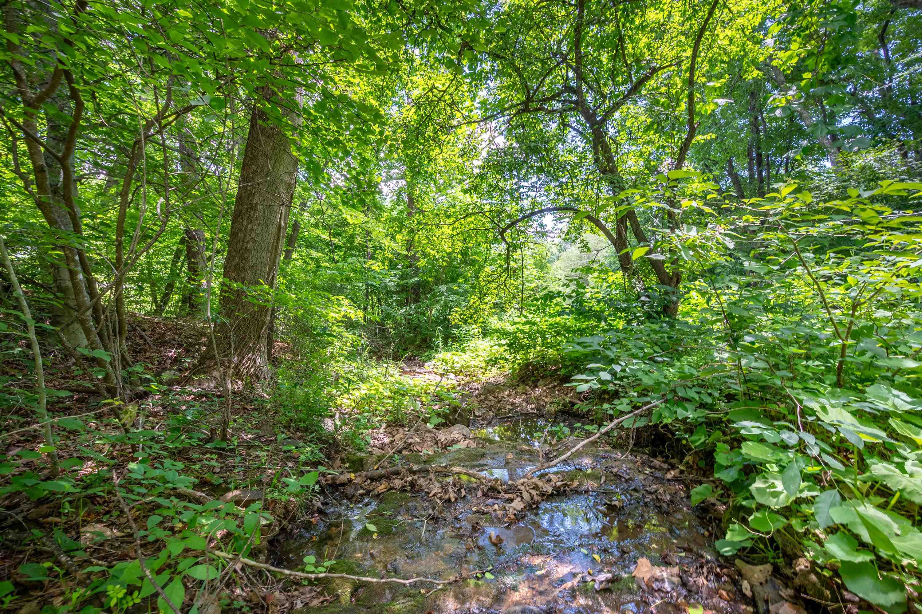 68 Paradise Lane Troutville VA 24175