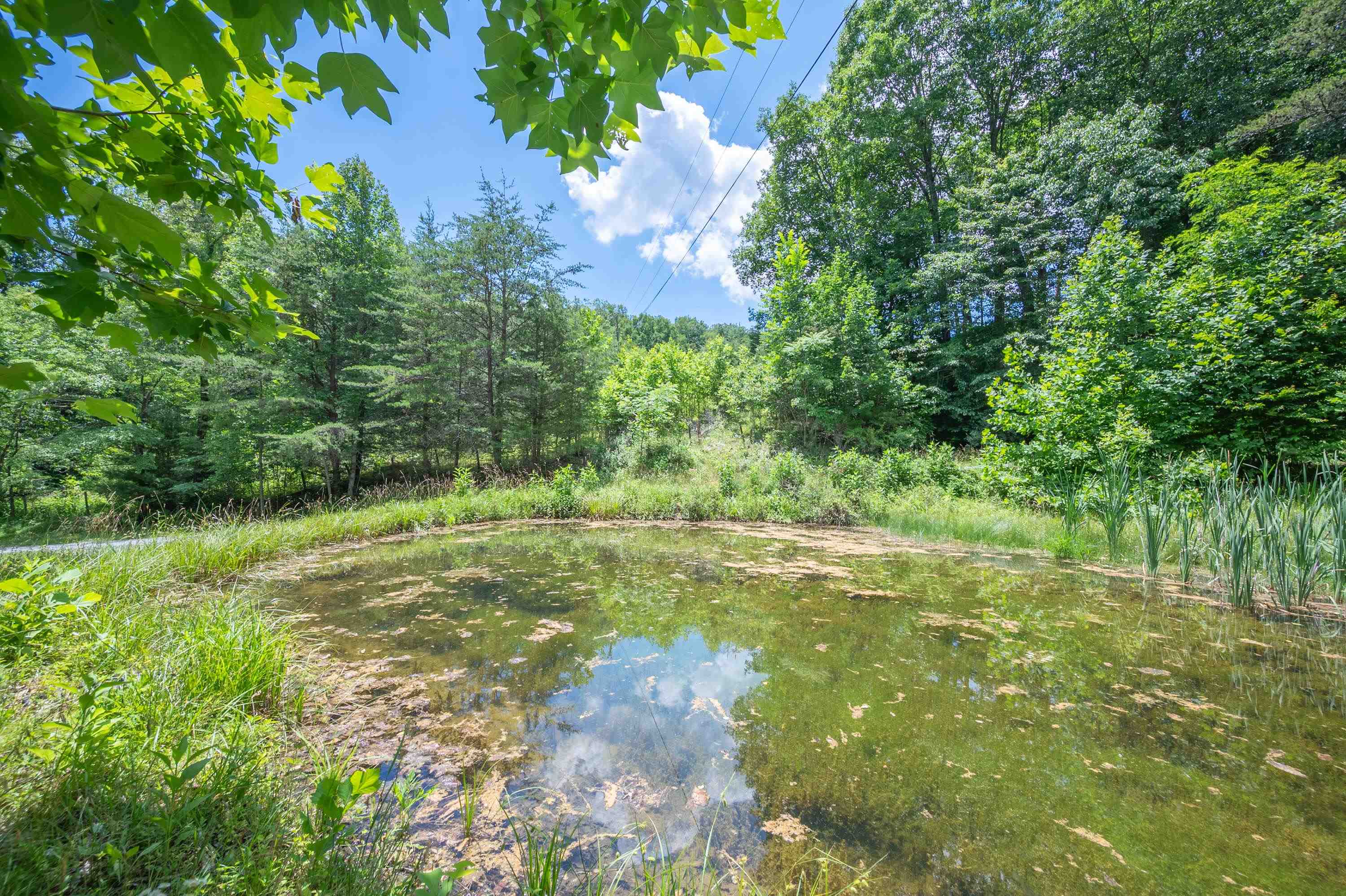 68 Paradise Lane Troutville VA 24175