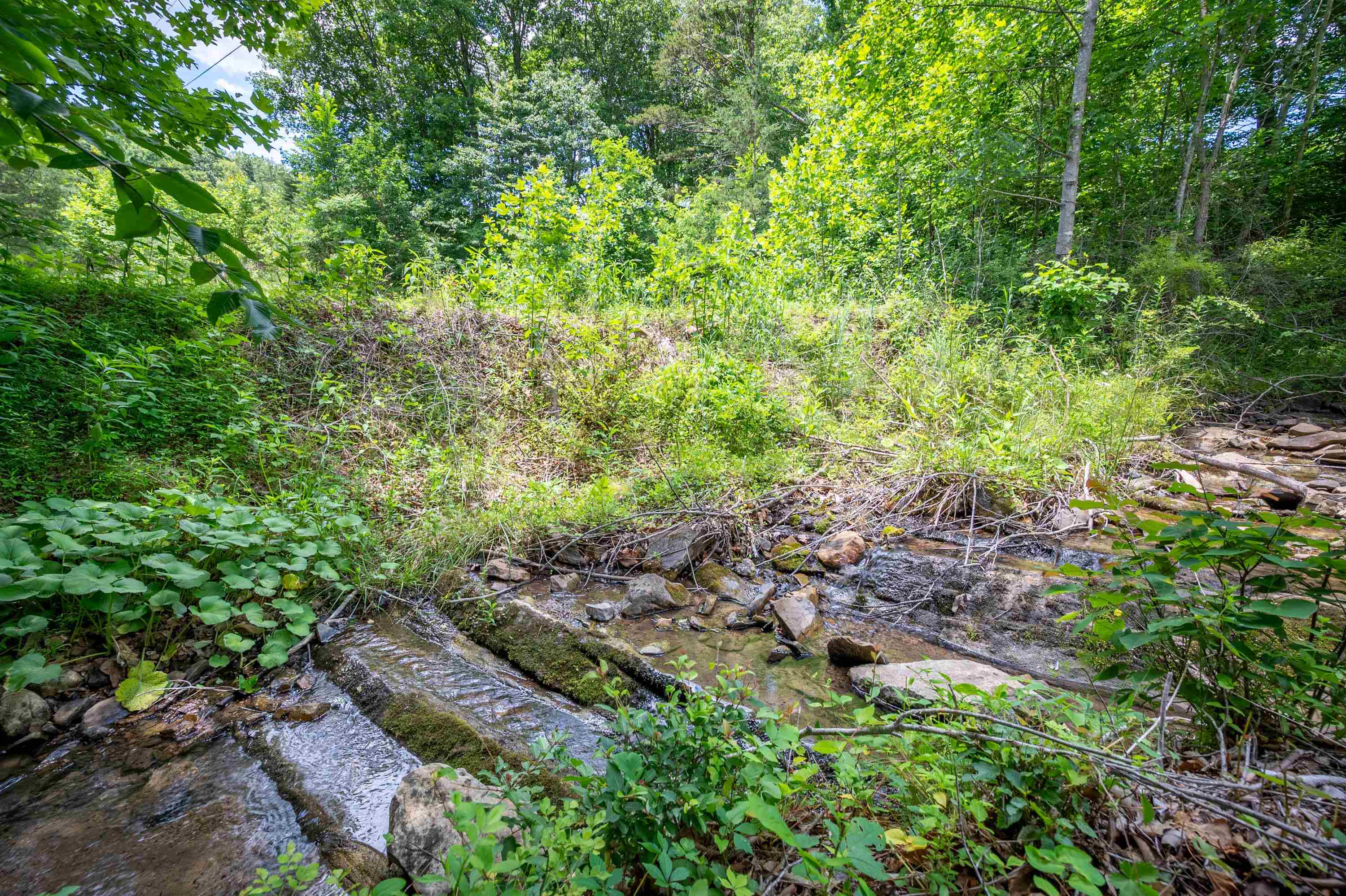 68 Paradise Lane Troutville VA 24175