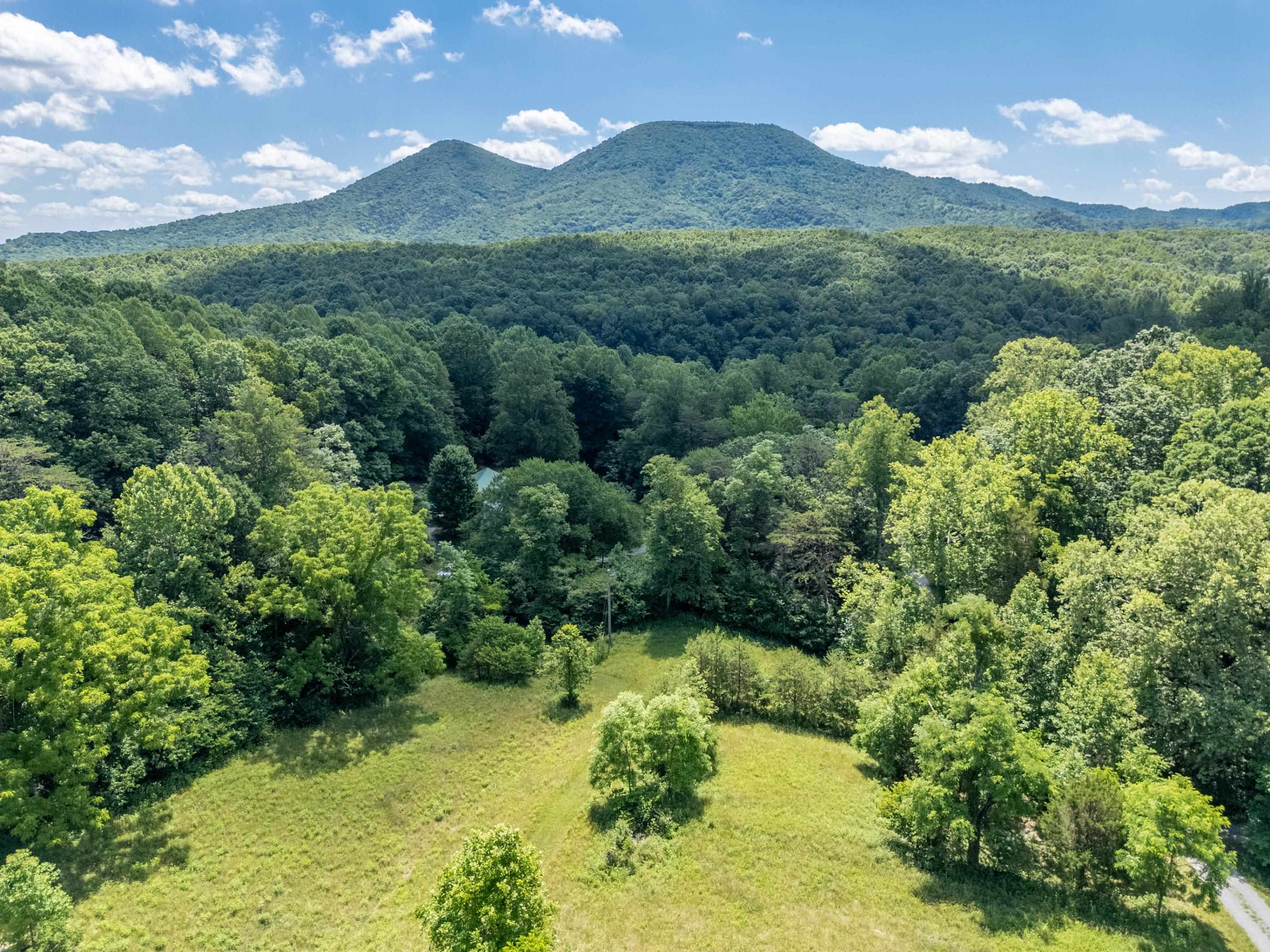 68 Paradise Lane Troutville VA 24175