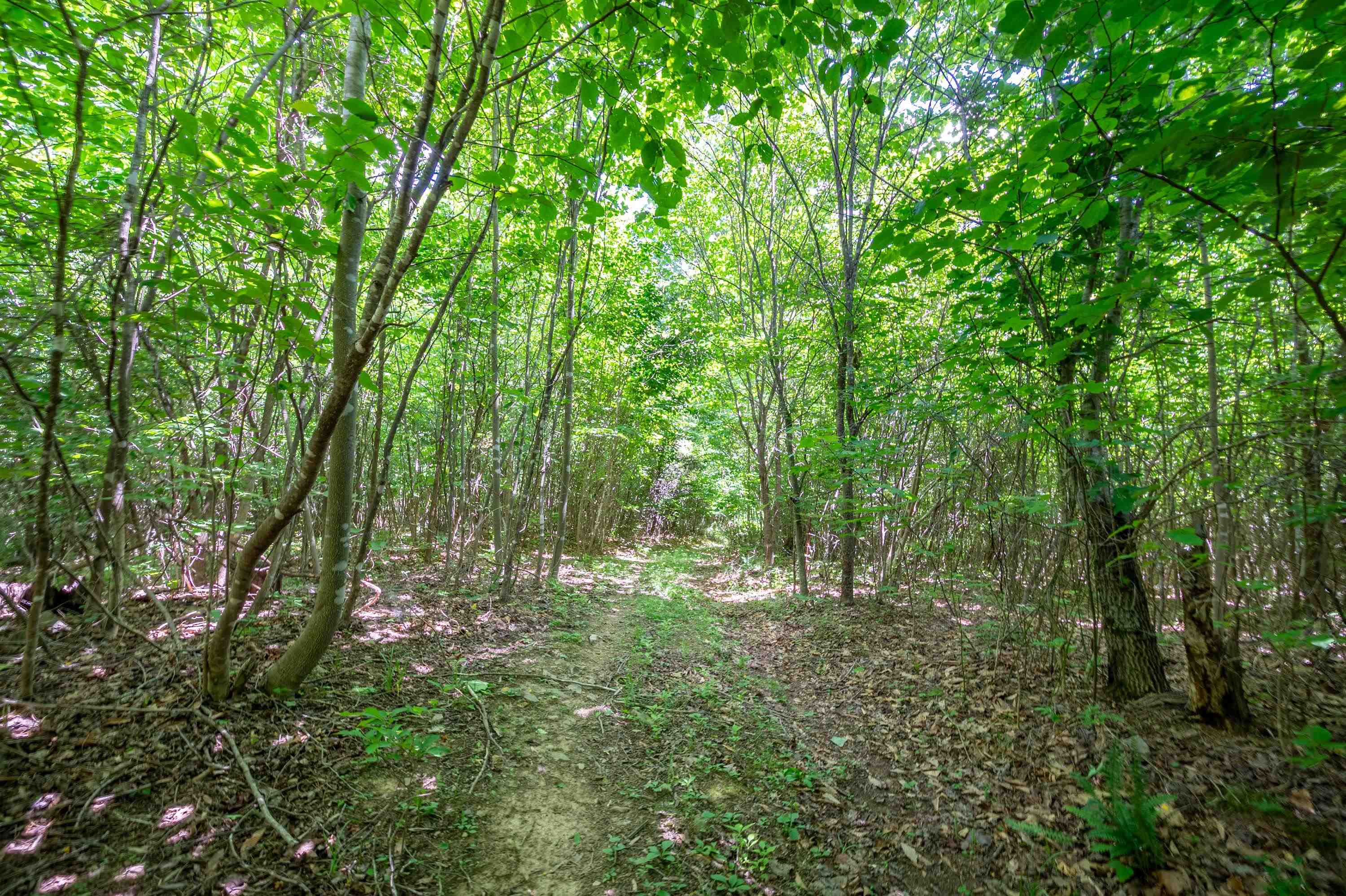68 Paradise Lane Troutville VA 24175