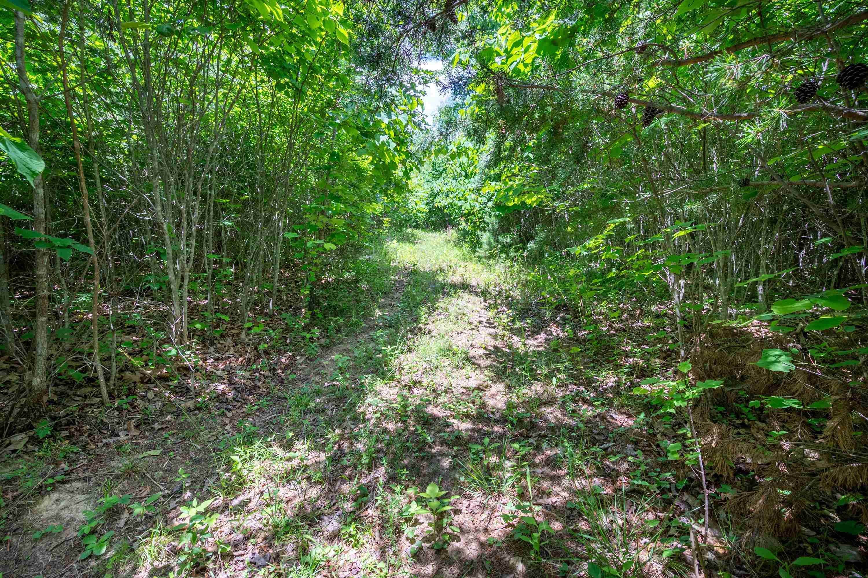 68 Paradise Lane Troutville VA 24175