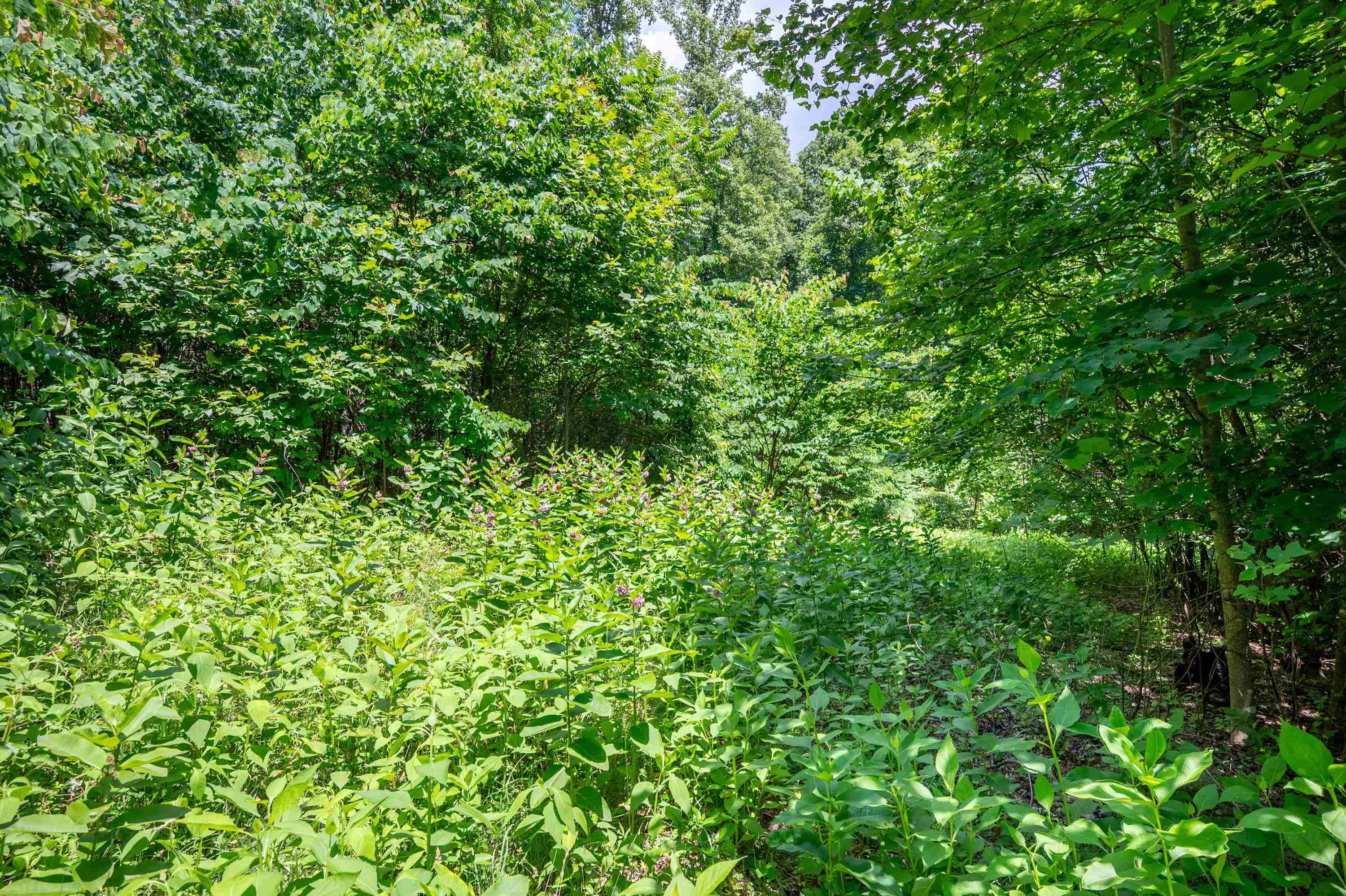 68 Paradise Lane Troutville VA 24175