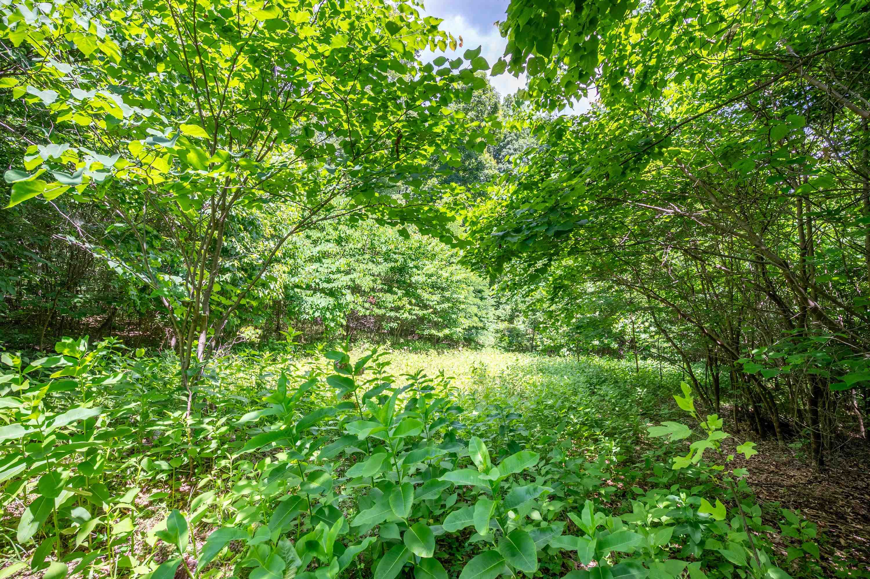 68 Paradise Lane Troutville VA 24175