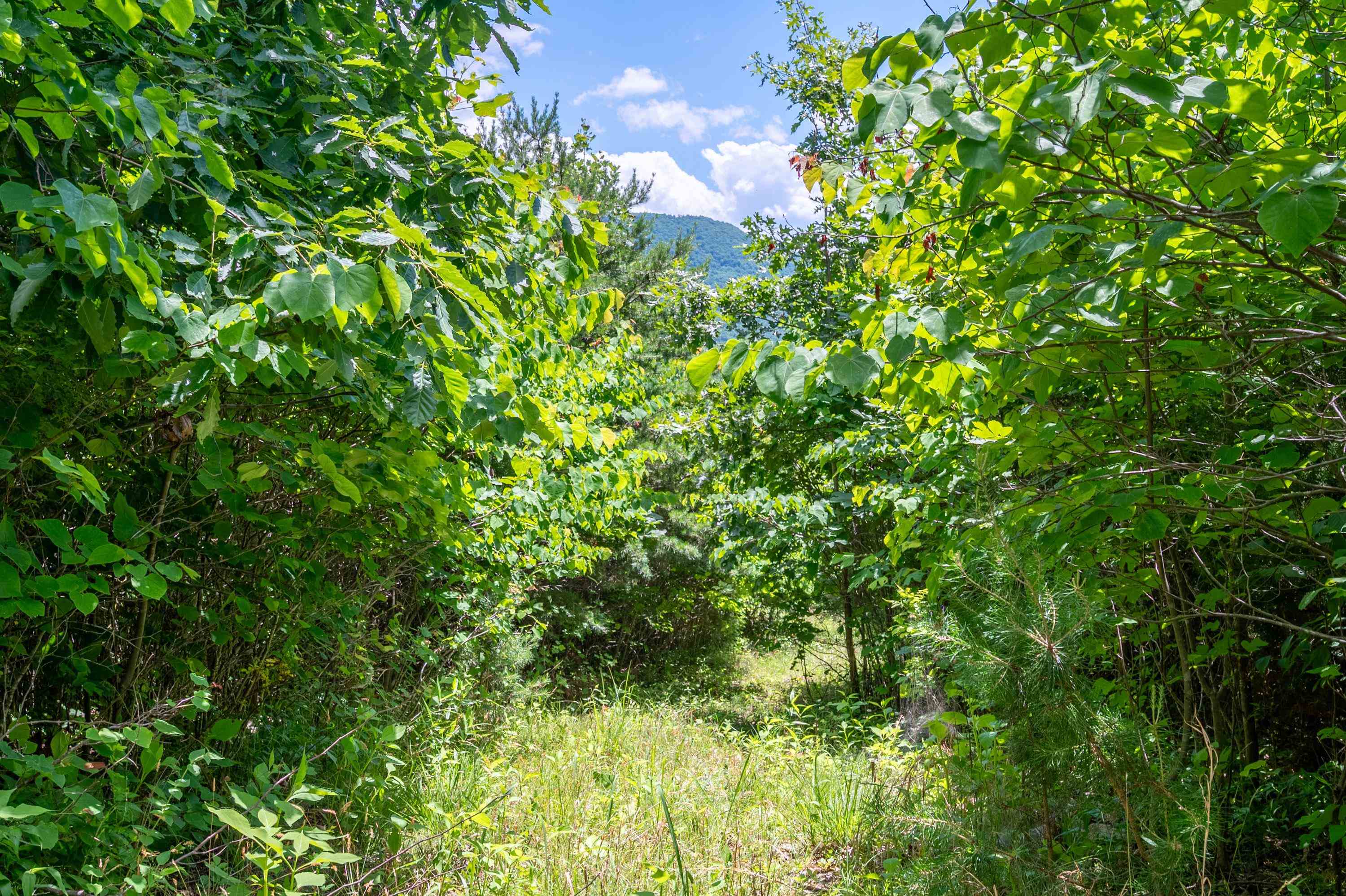 68 Paradise Lane Troutville VA 24175