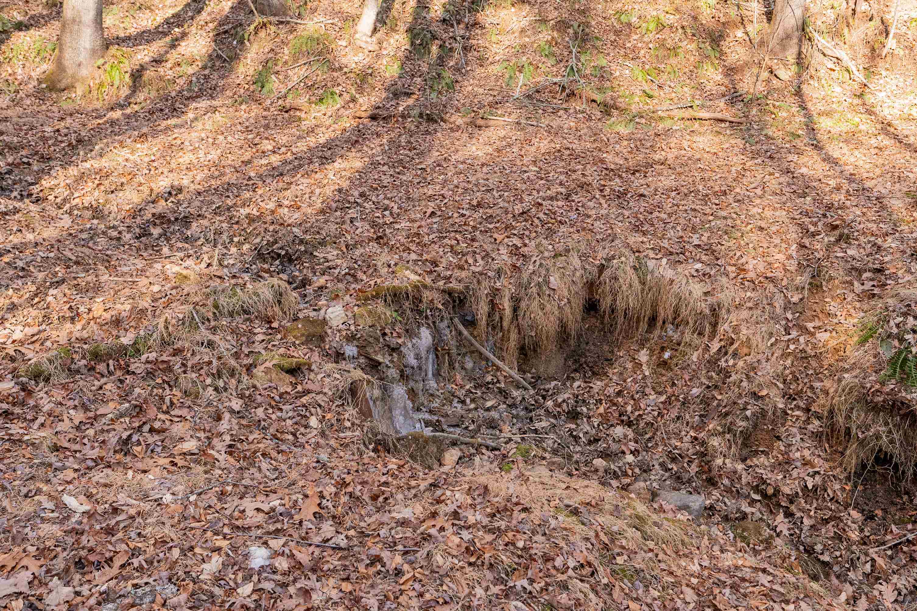 1848 Stone Ridge Road Austinville VA 24312