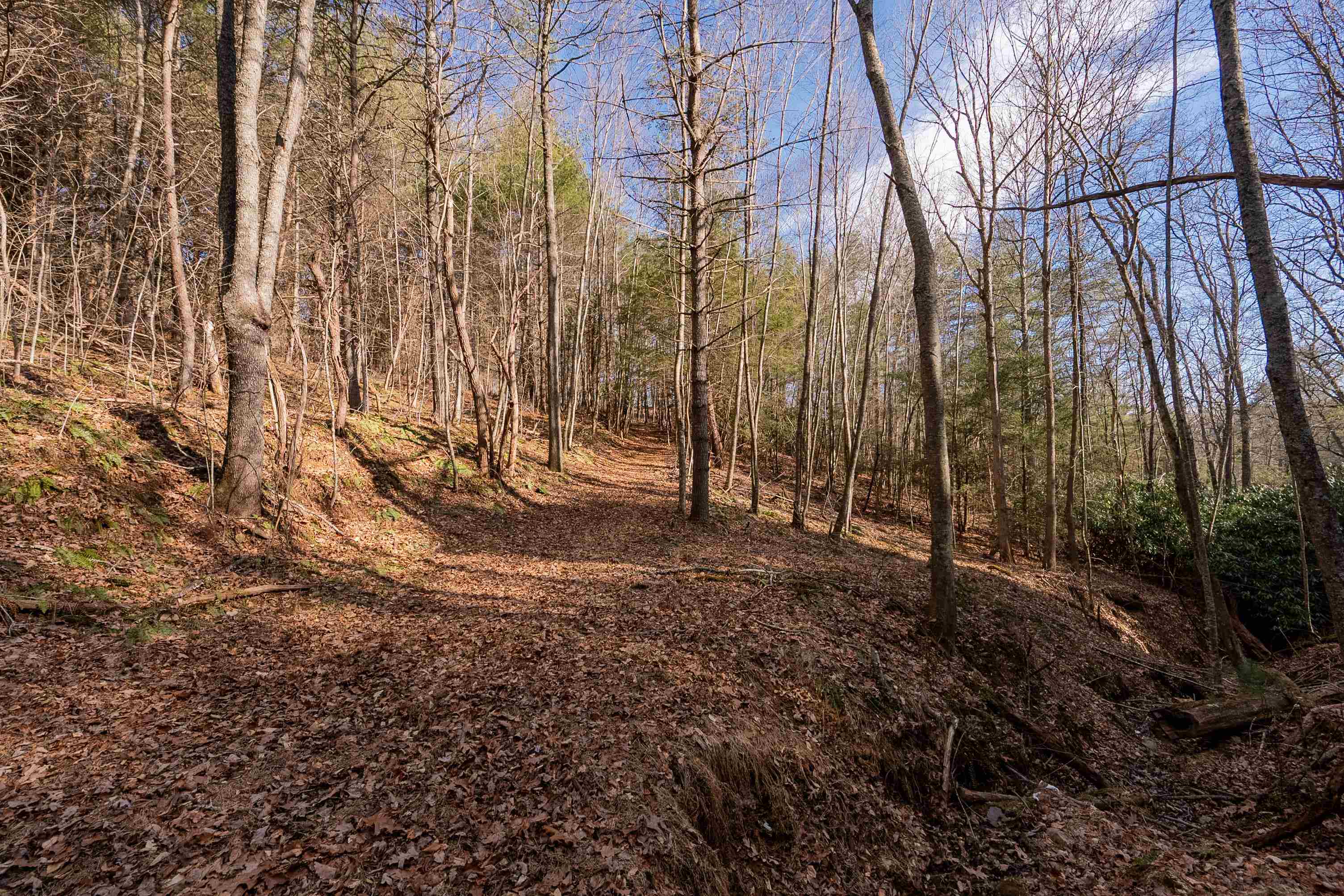 1848 Stone Ridge Road Austinville VA 24312