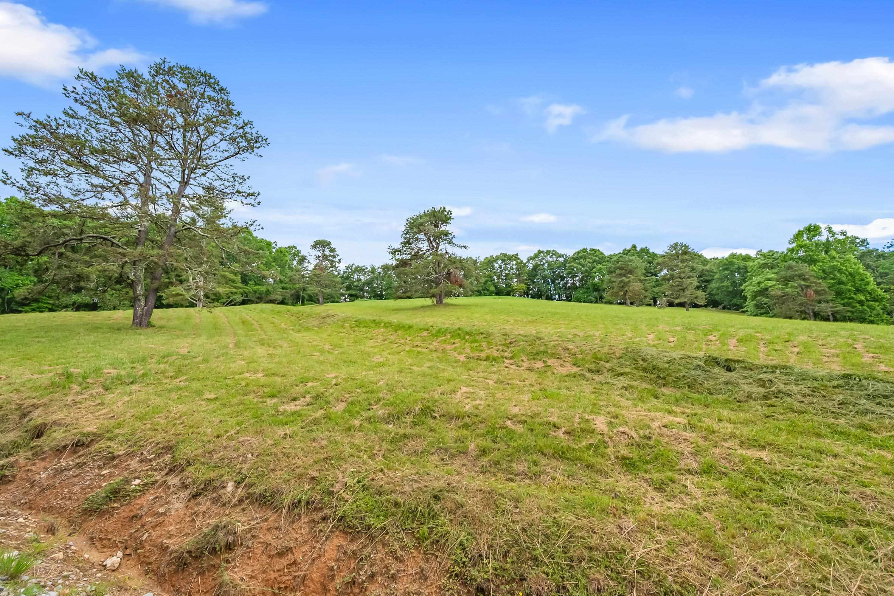 133 Wonder Way NE Pilot VA 24138