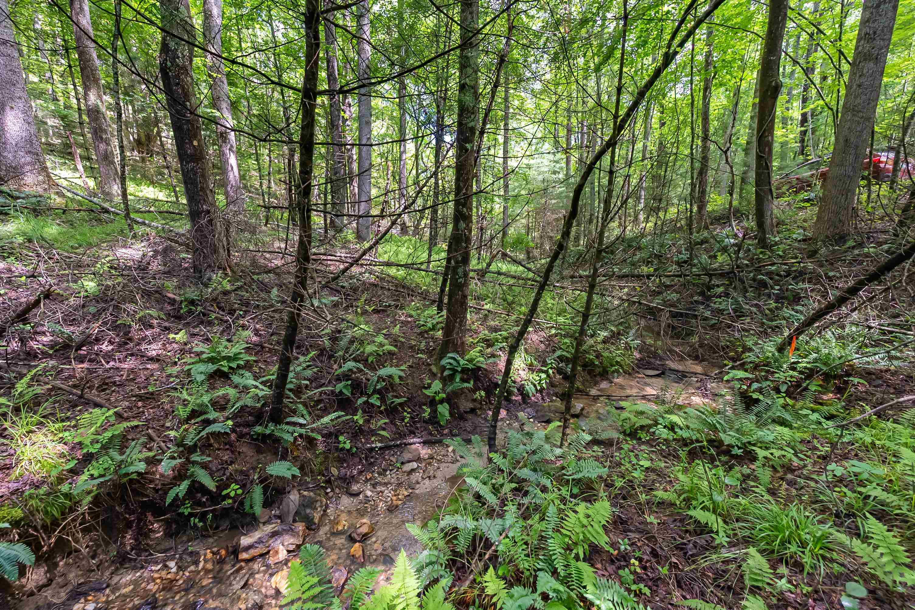 133 Wonder Way NE Pilot VA 24138