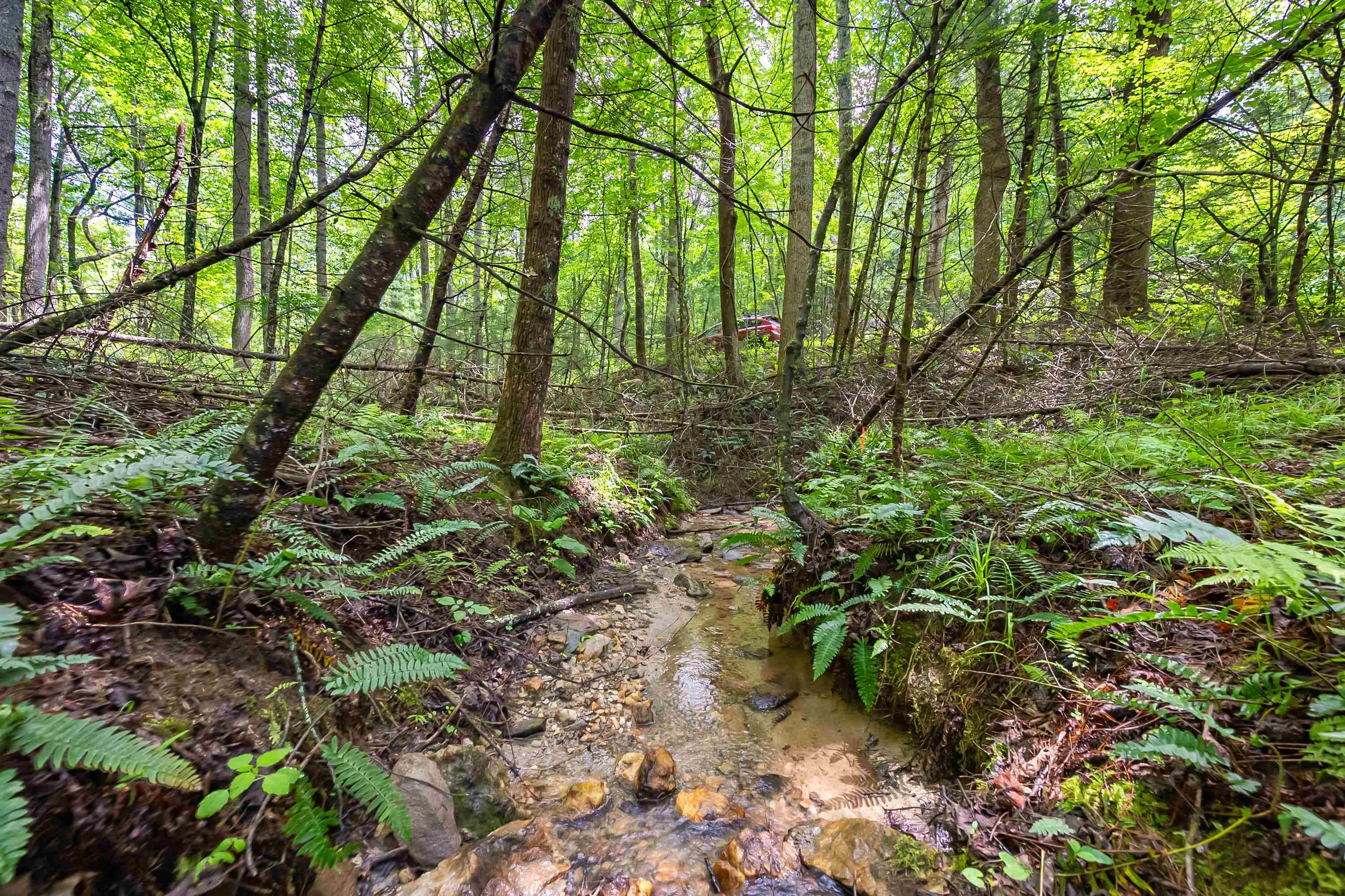 133 Wonder Way NE Pilot VA 24138