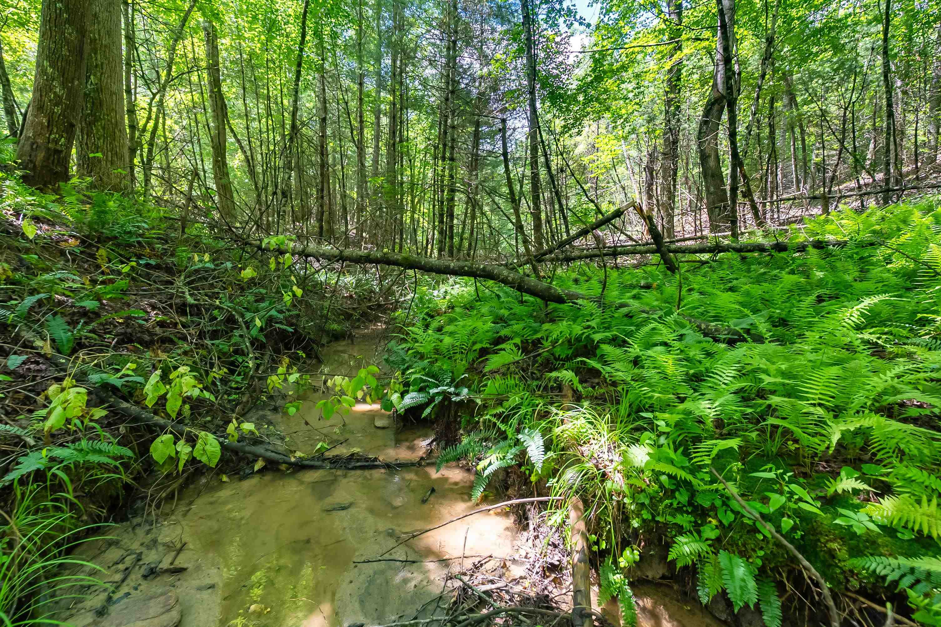 133 Wonder Way NE Pilot VA 24138