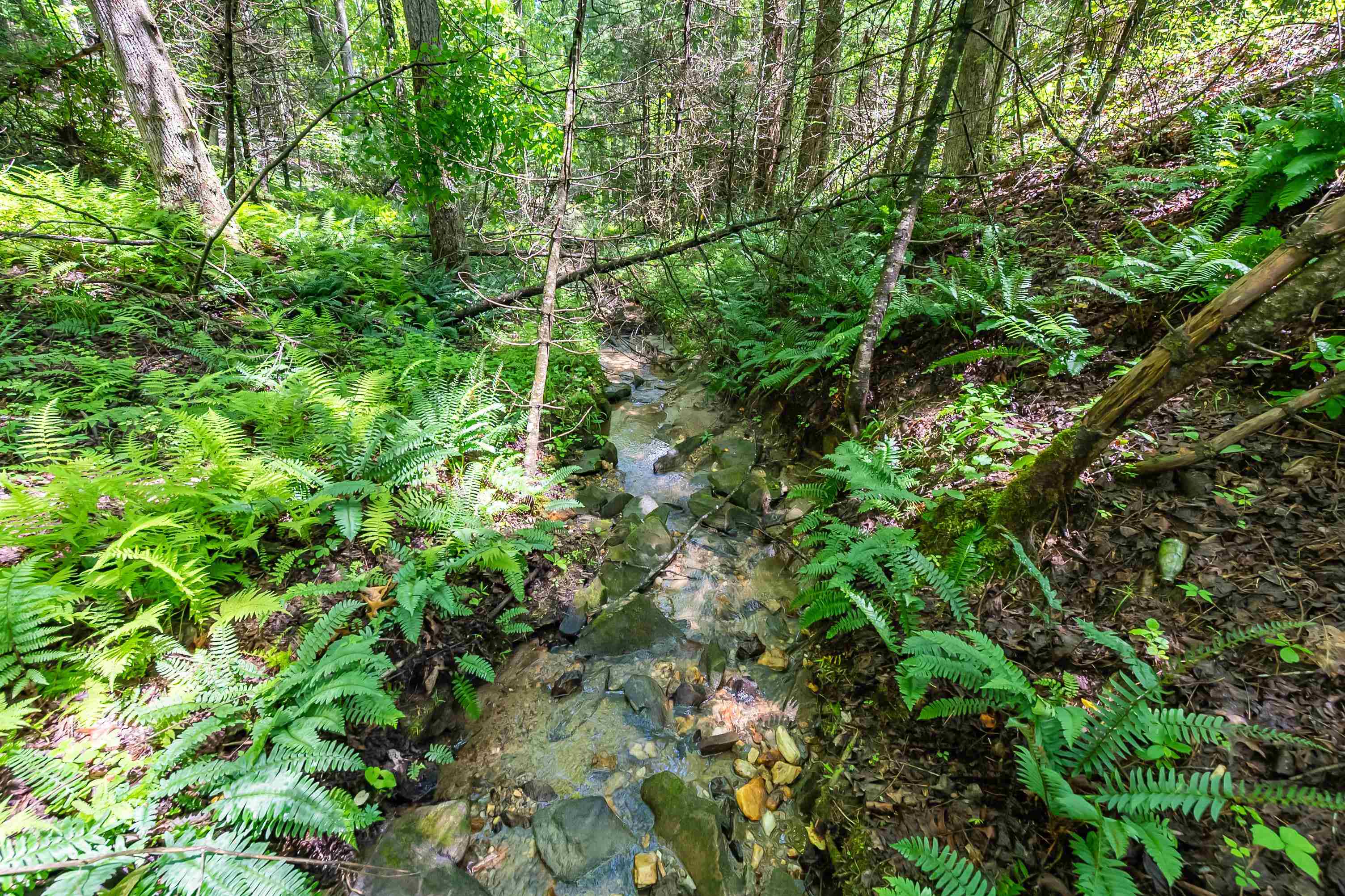 133 Wonder Way NE Pilot VA 24138