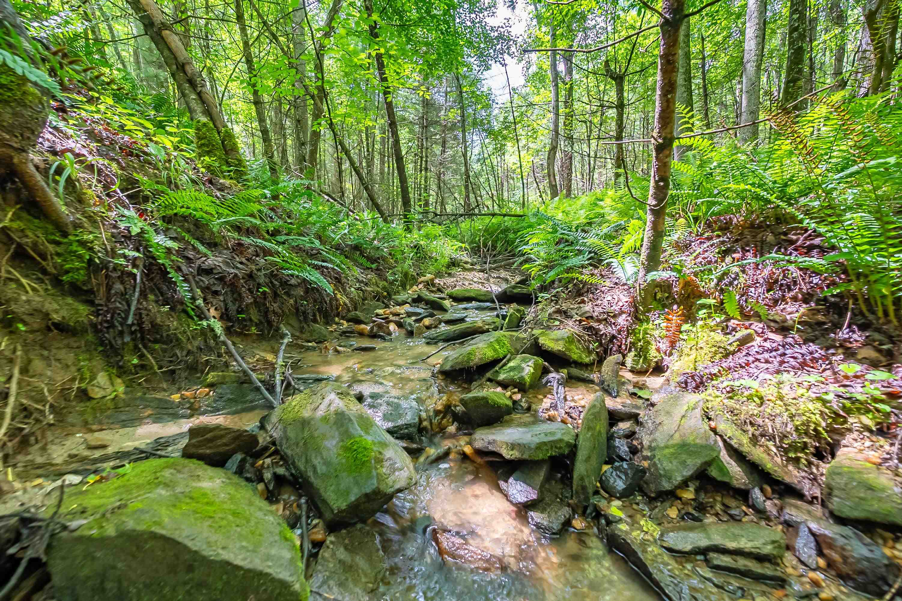 133 Wonder Way NE Pilot VA 24138