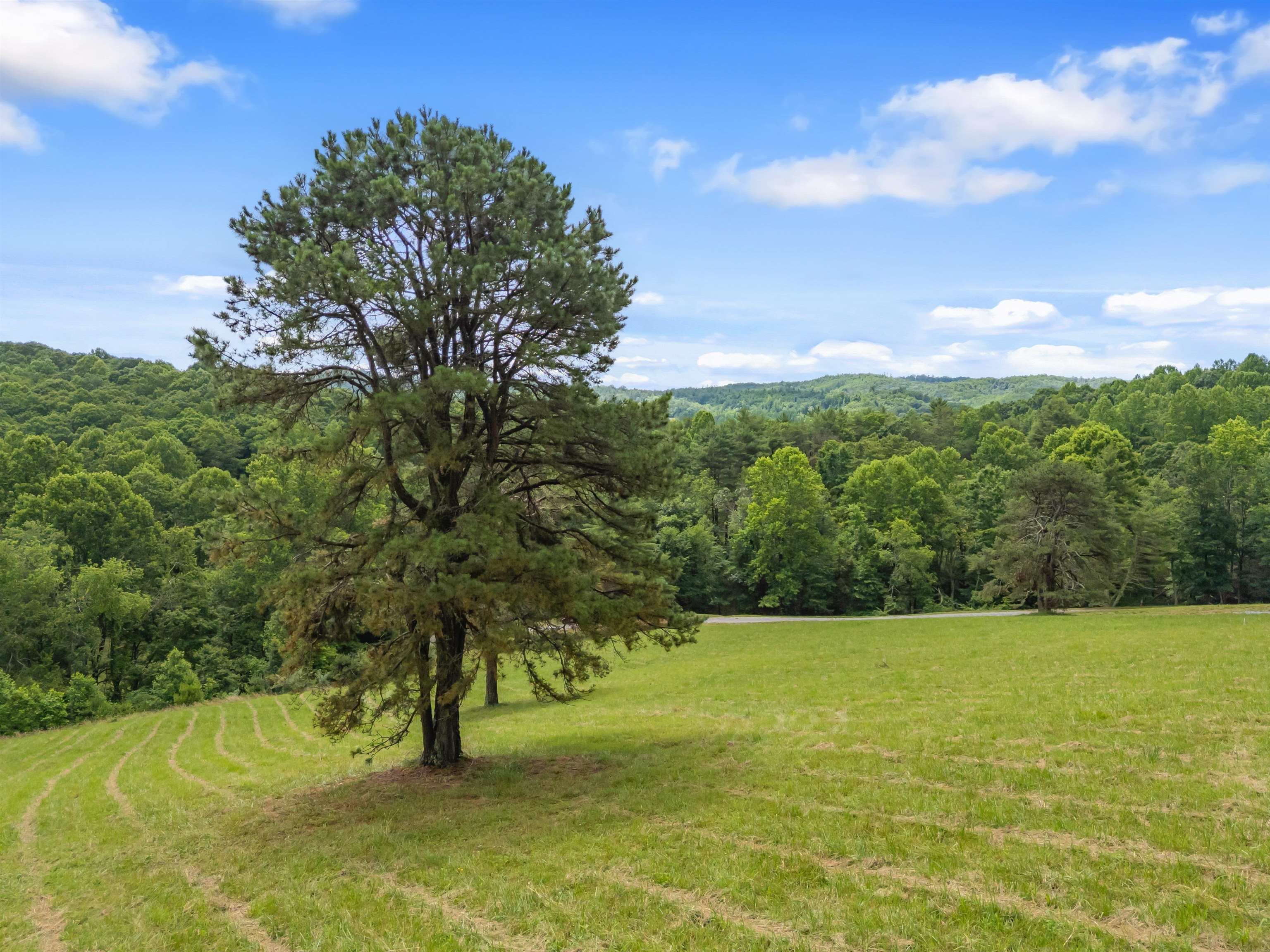 133 Wonder Way NE Pilot VA 24138