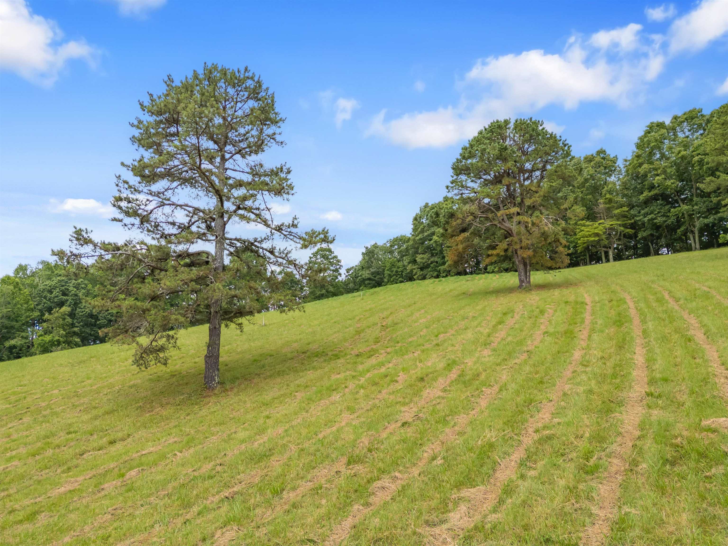 133 Wonder Way NE Pilot VA 24138