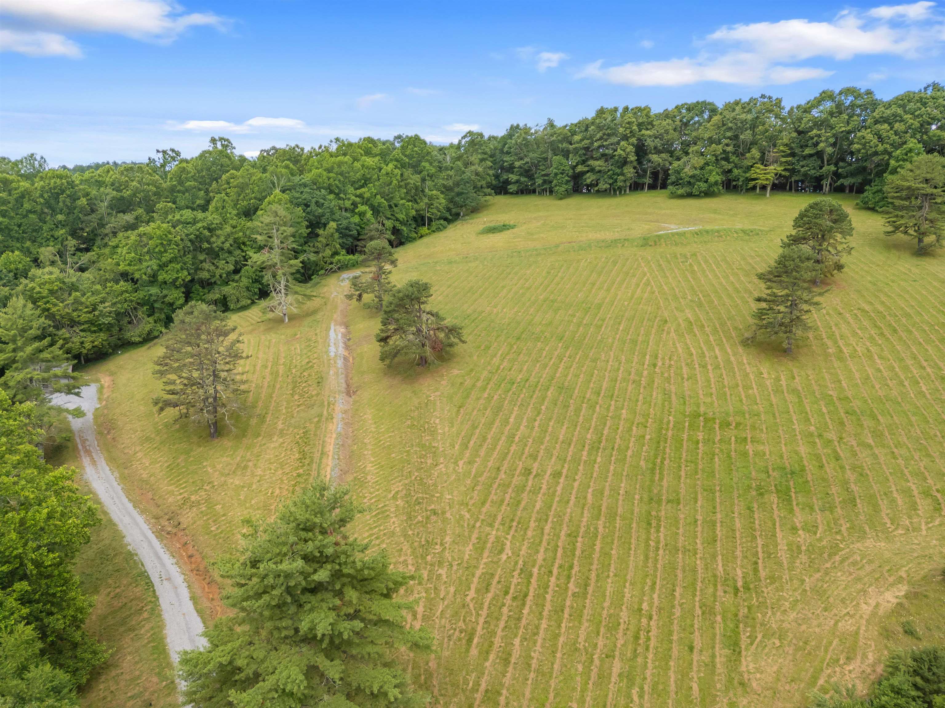 133 Wonder Way NE Pilot VA 24138