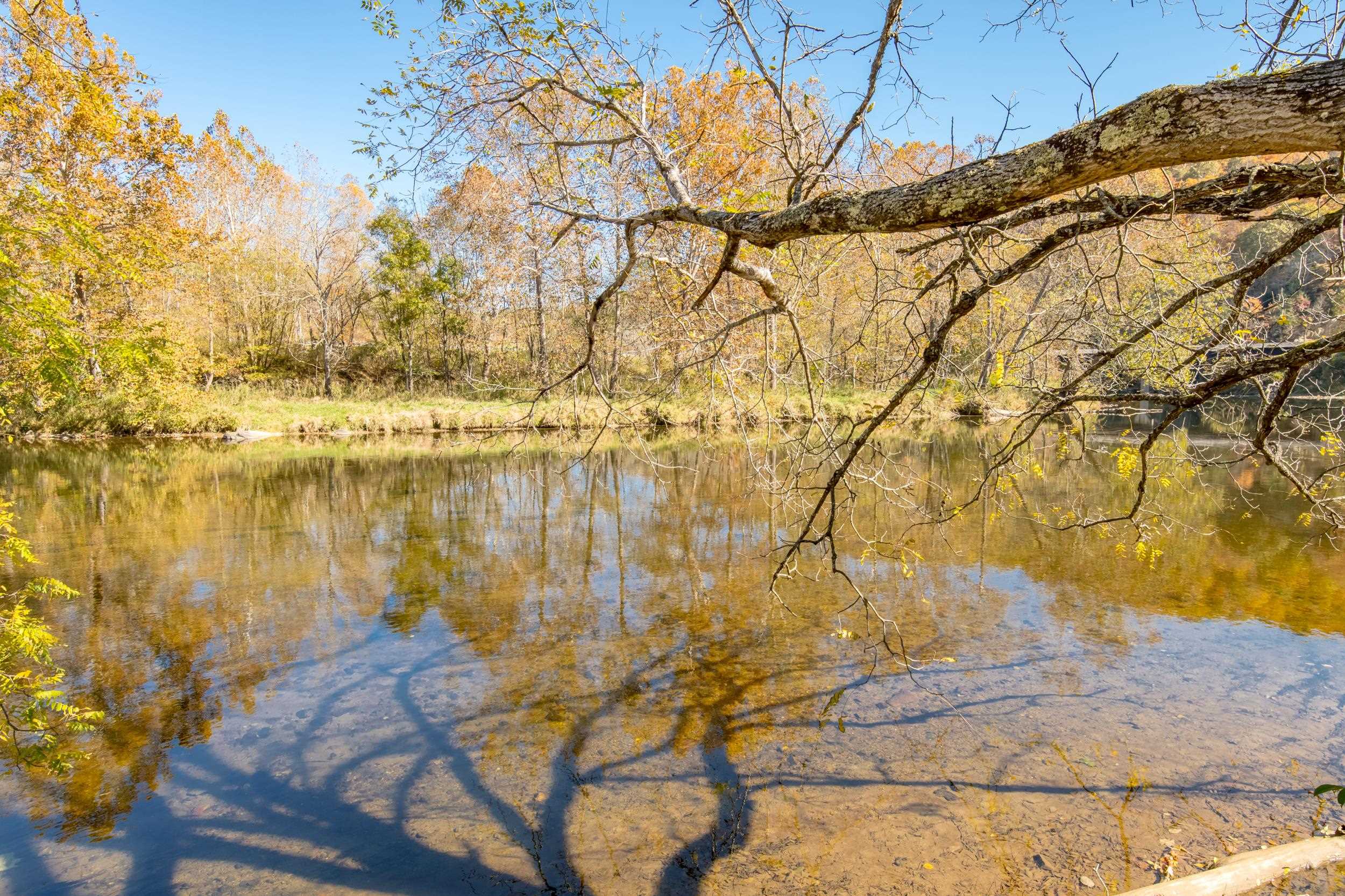 305 Mulberry Lane Mouth Of Wilson VA 24363