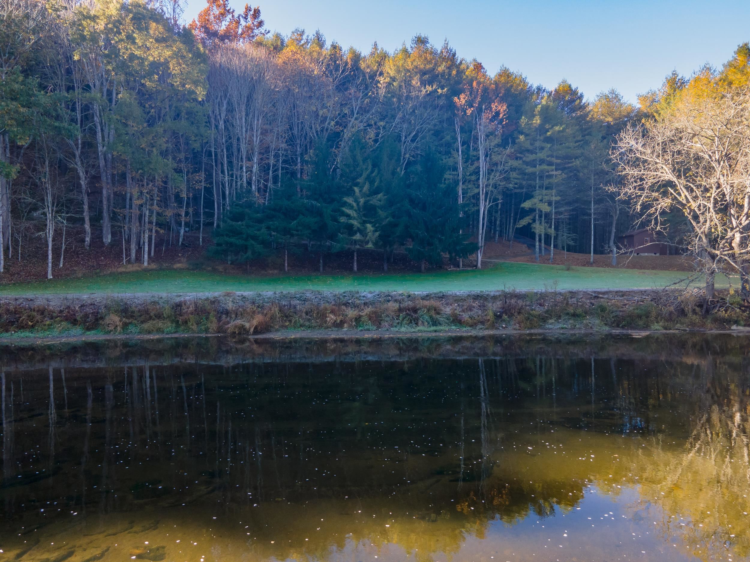 305 Mulberry Lane Mouth Of Wilson VA 24363