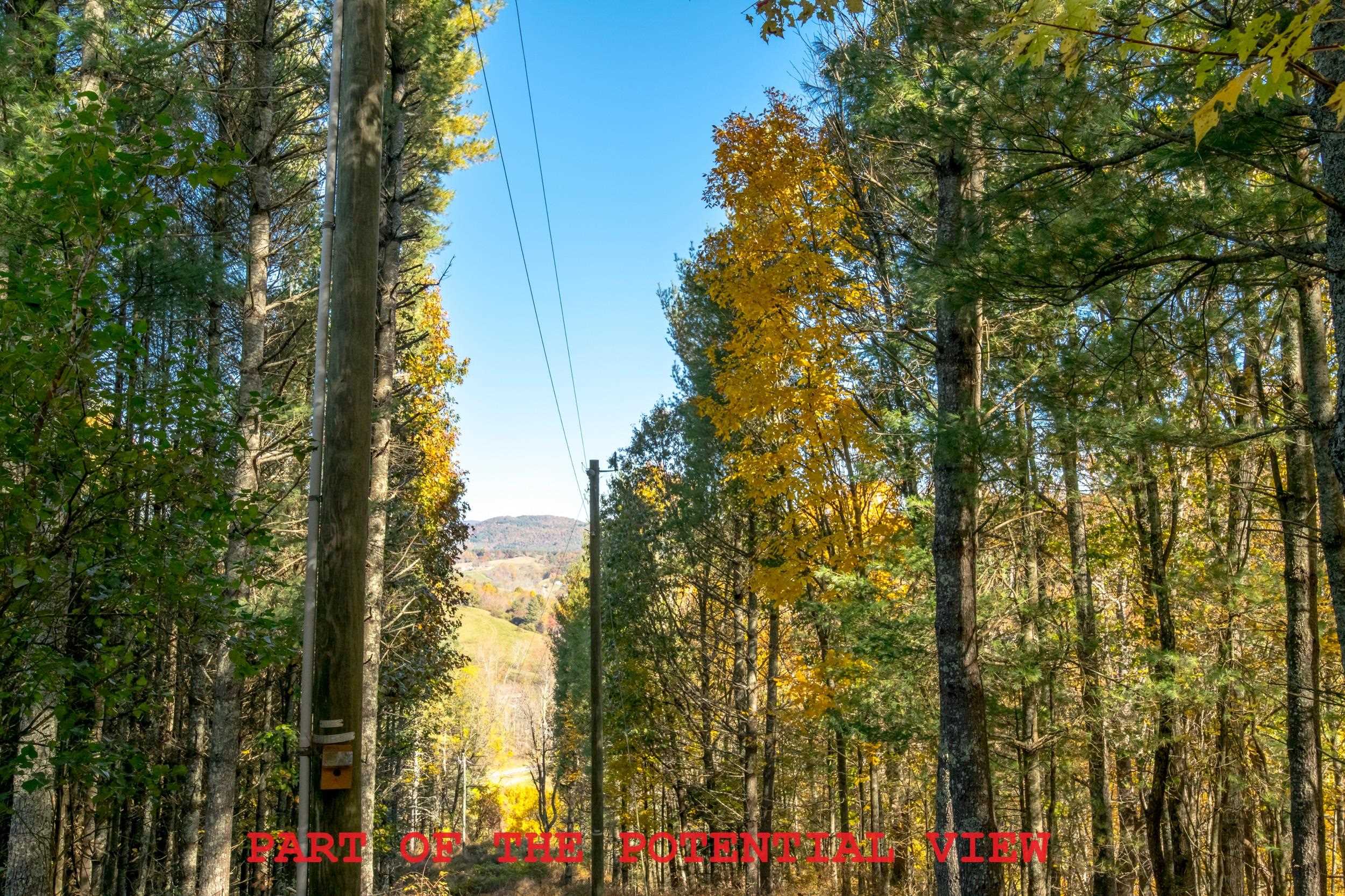 305 Mulberry Lane Mouth Of Wilson VA 24363