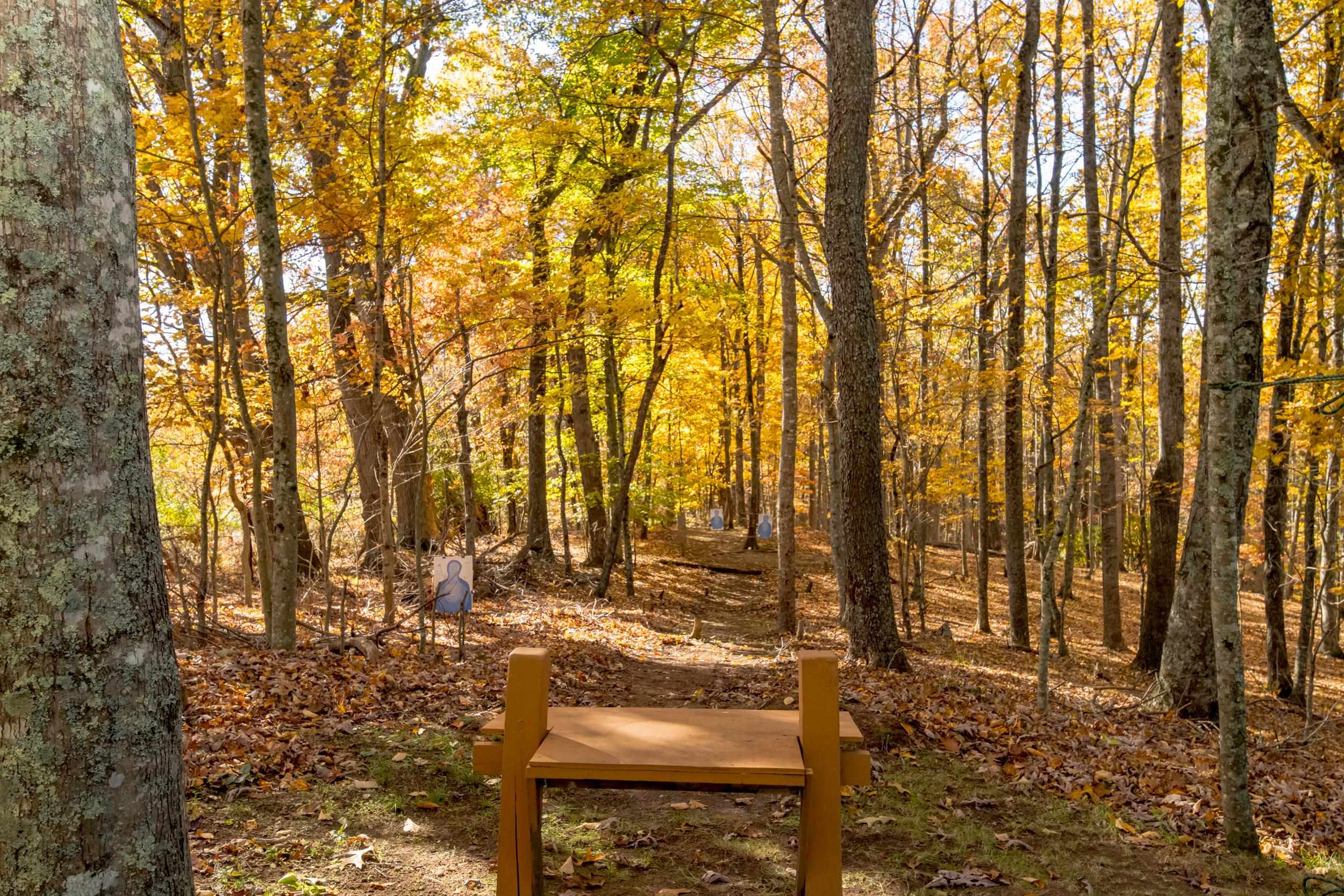 305 Mulberry Lane Mouth Of Wilson VA 24363