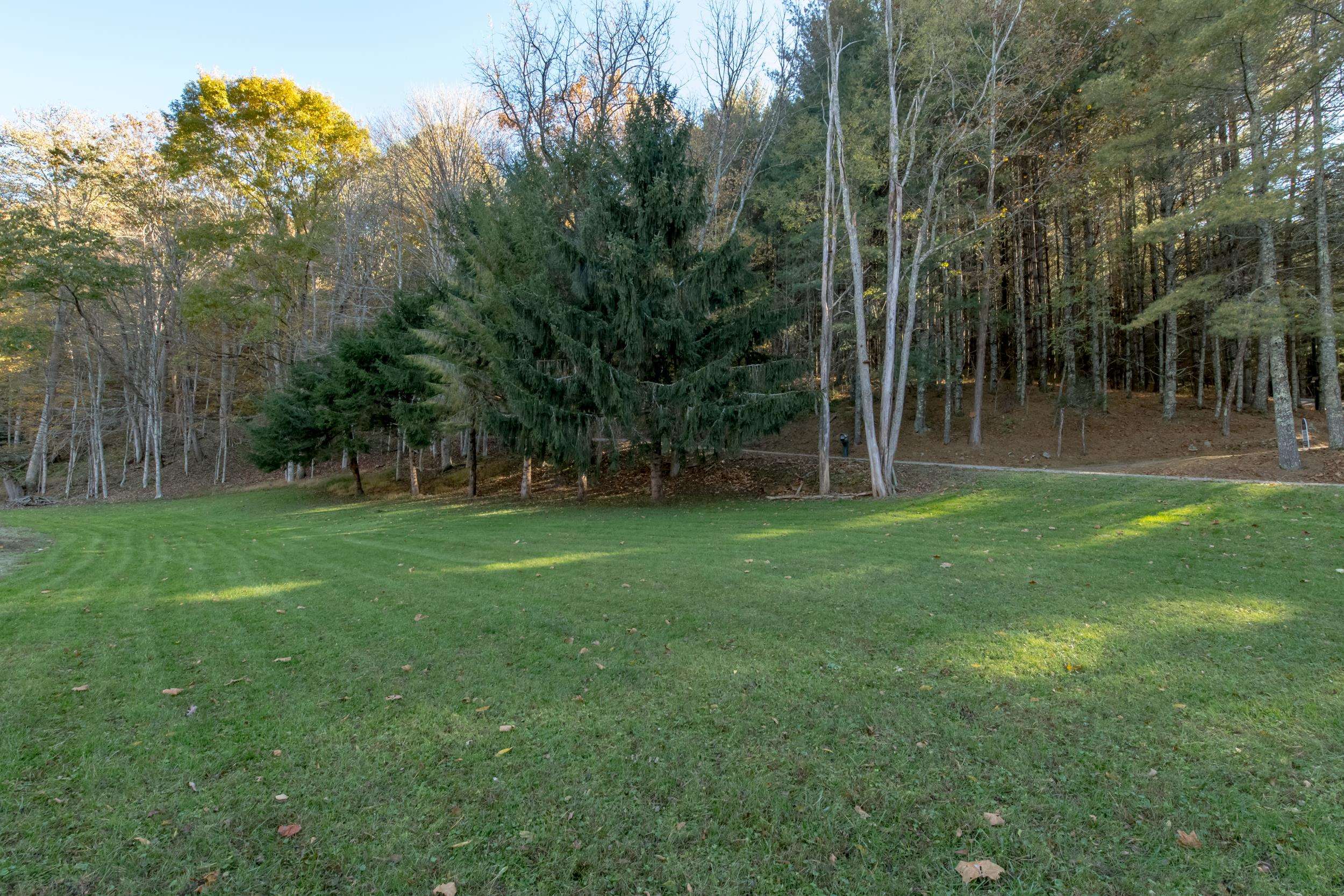 305 Mulberry Lane Mouth Of Wilson VA 24363