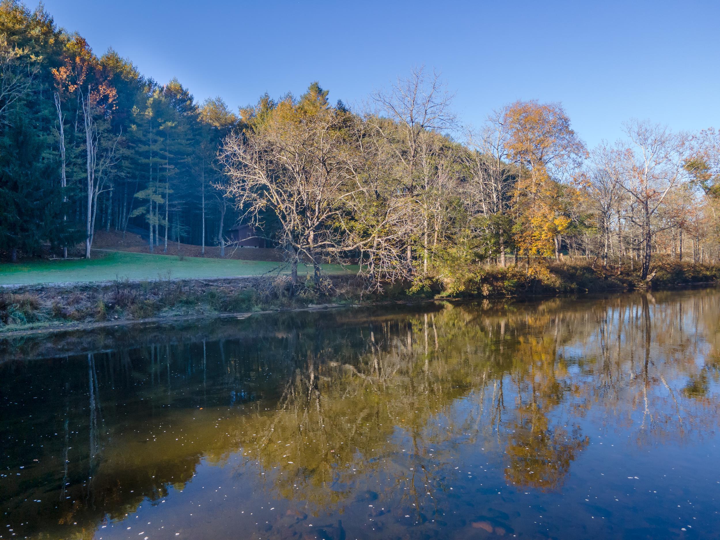 305 Mulberry Lane Mouth Of Wilson VA 24363