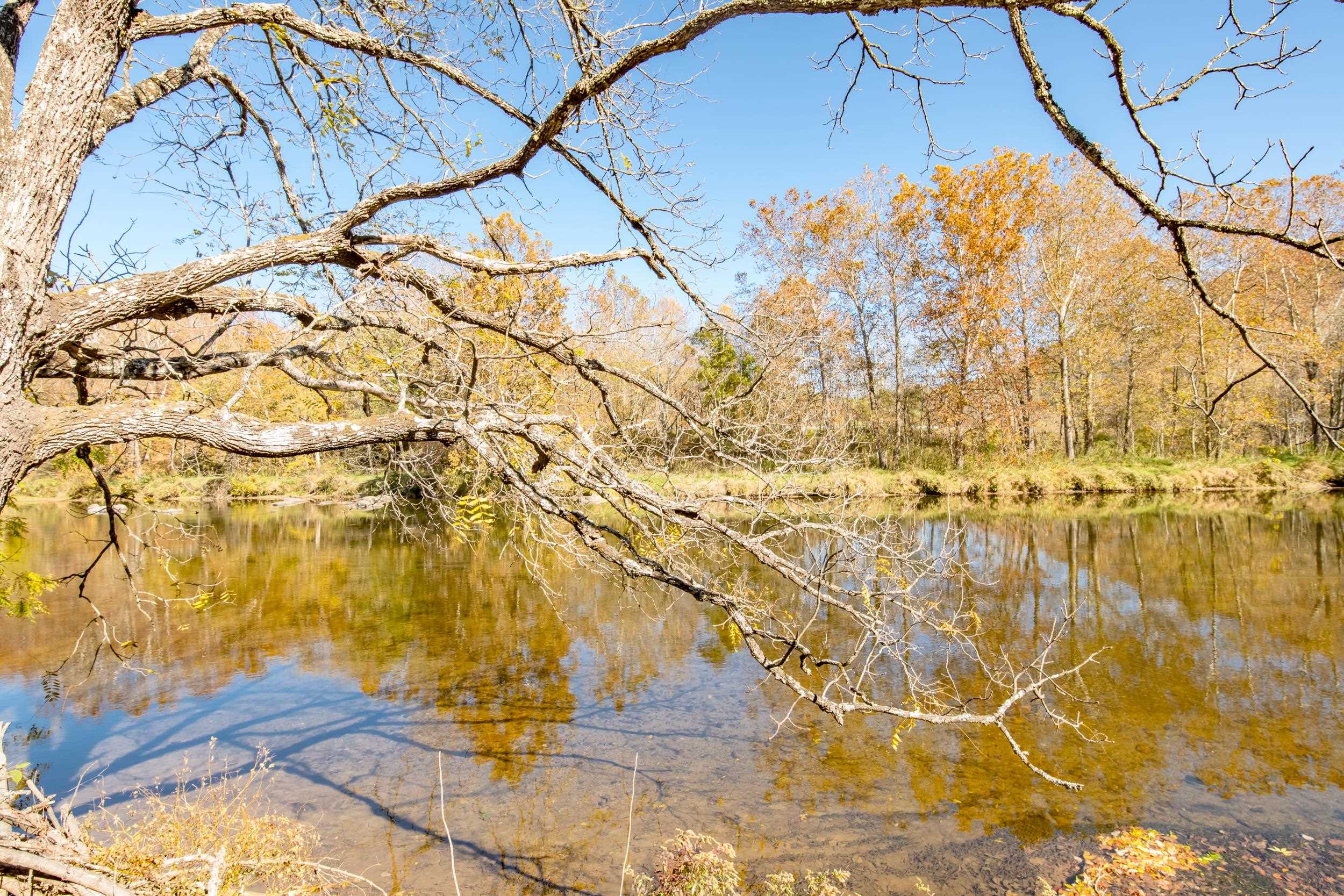 305 Mulberry Lane Mouth Of Wilson VA 24363