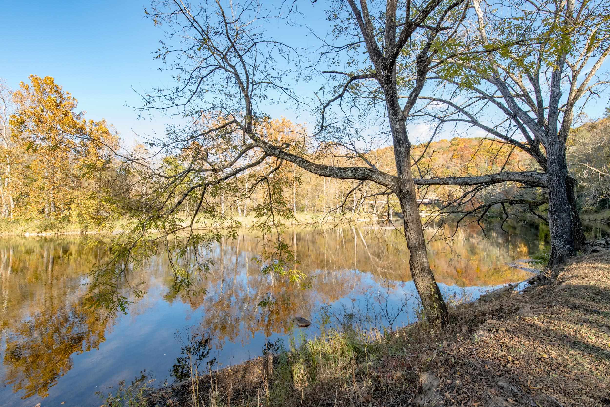 305 Mulberry Lane Mouth Of Wilson VA 24363