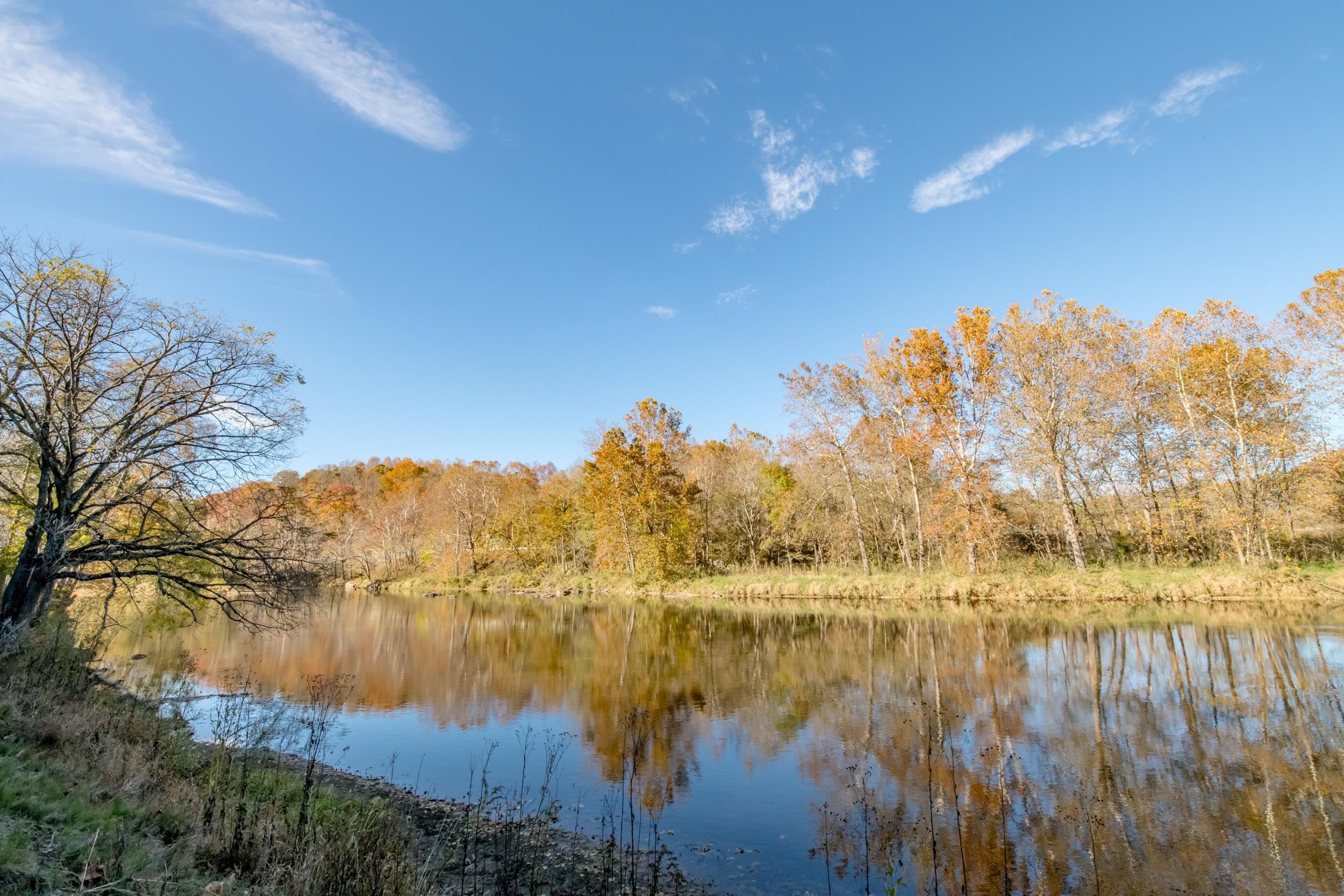 305 Mulberry Lane Mouth Of Wilson VA 24363